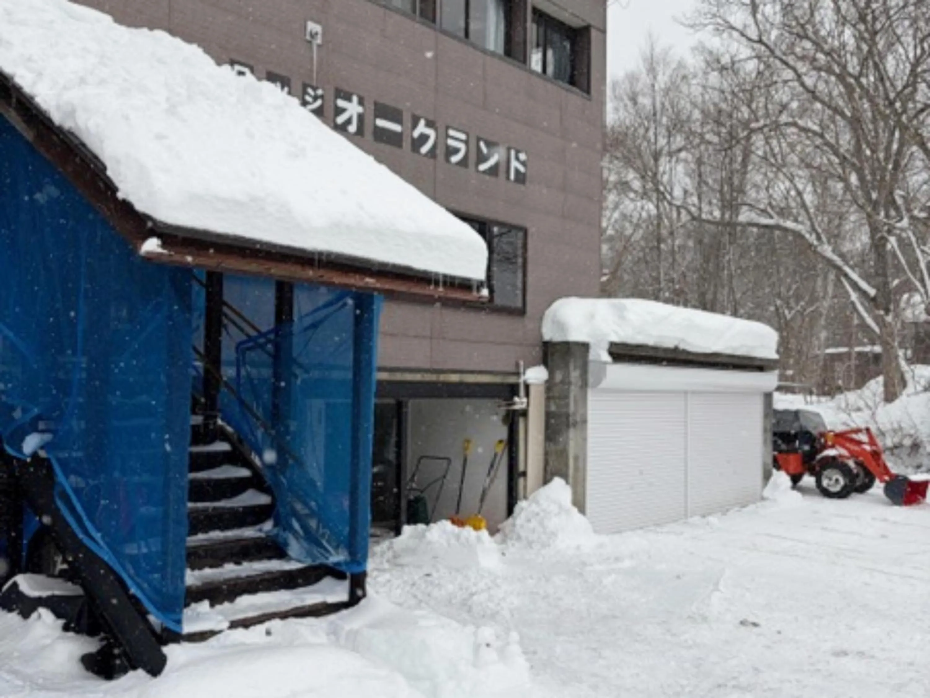 Property building in Lodge Oakland