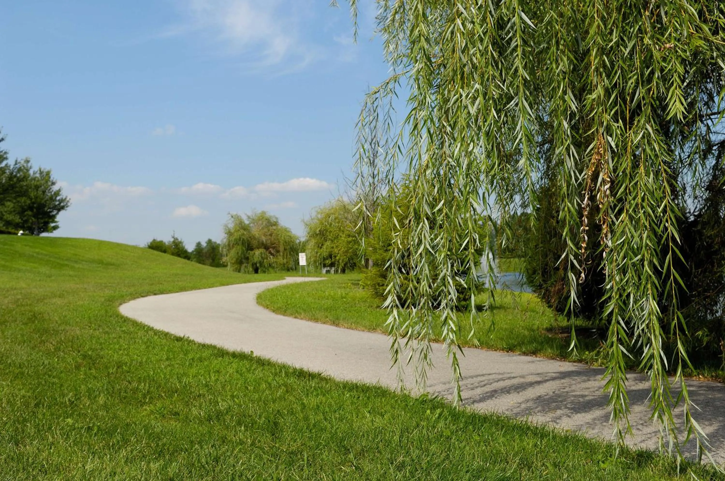 Sports in Embassy Suites Lexington
