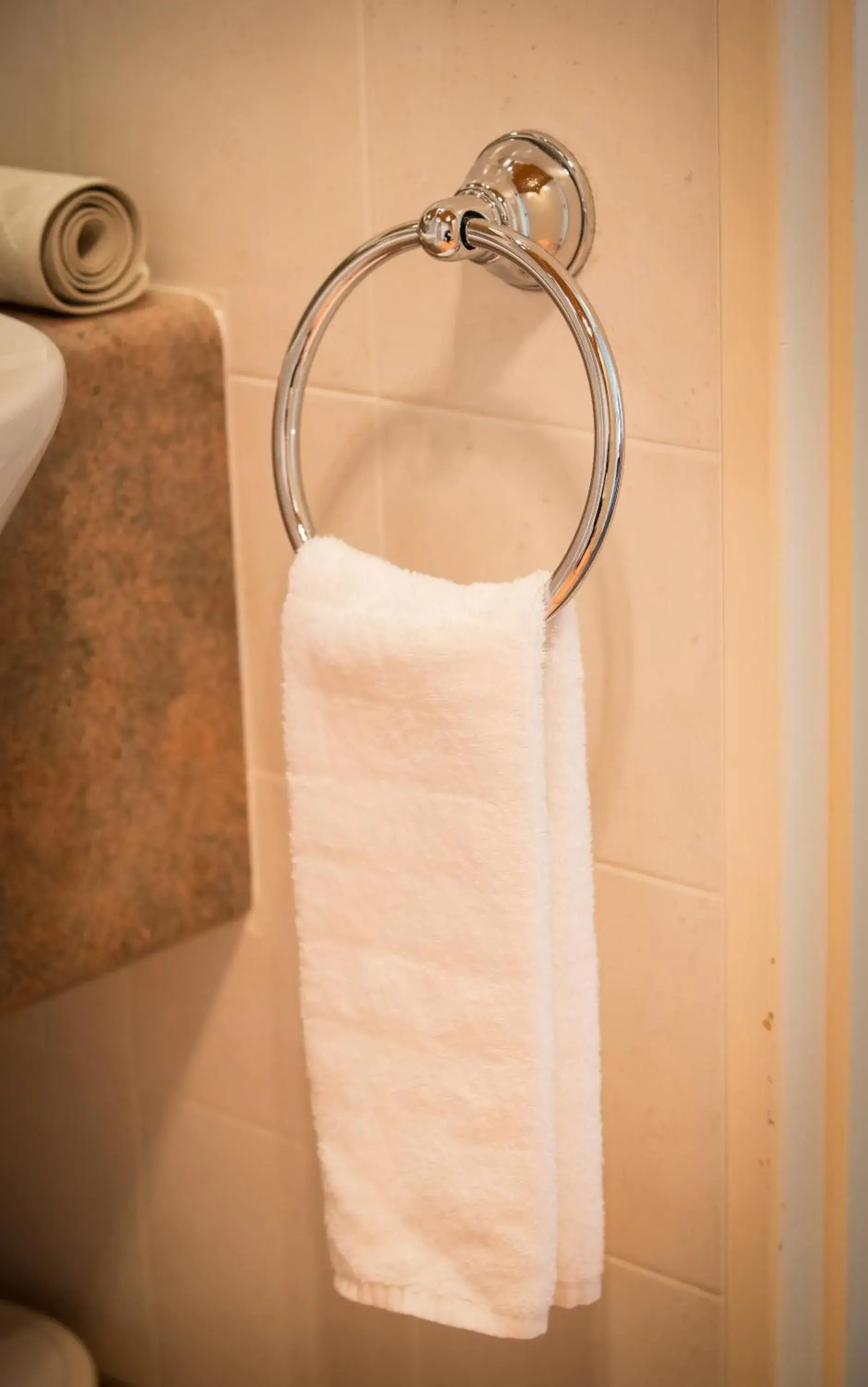 Bathroom in Siena Motor Lodge Bathroom in Siena Motor Lodge