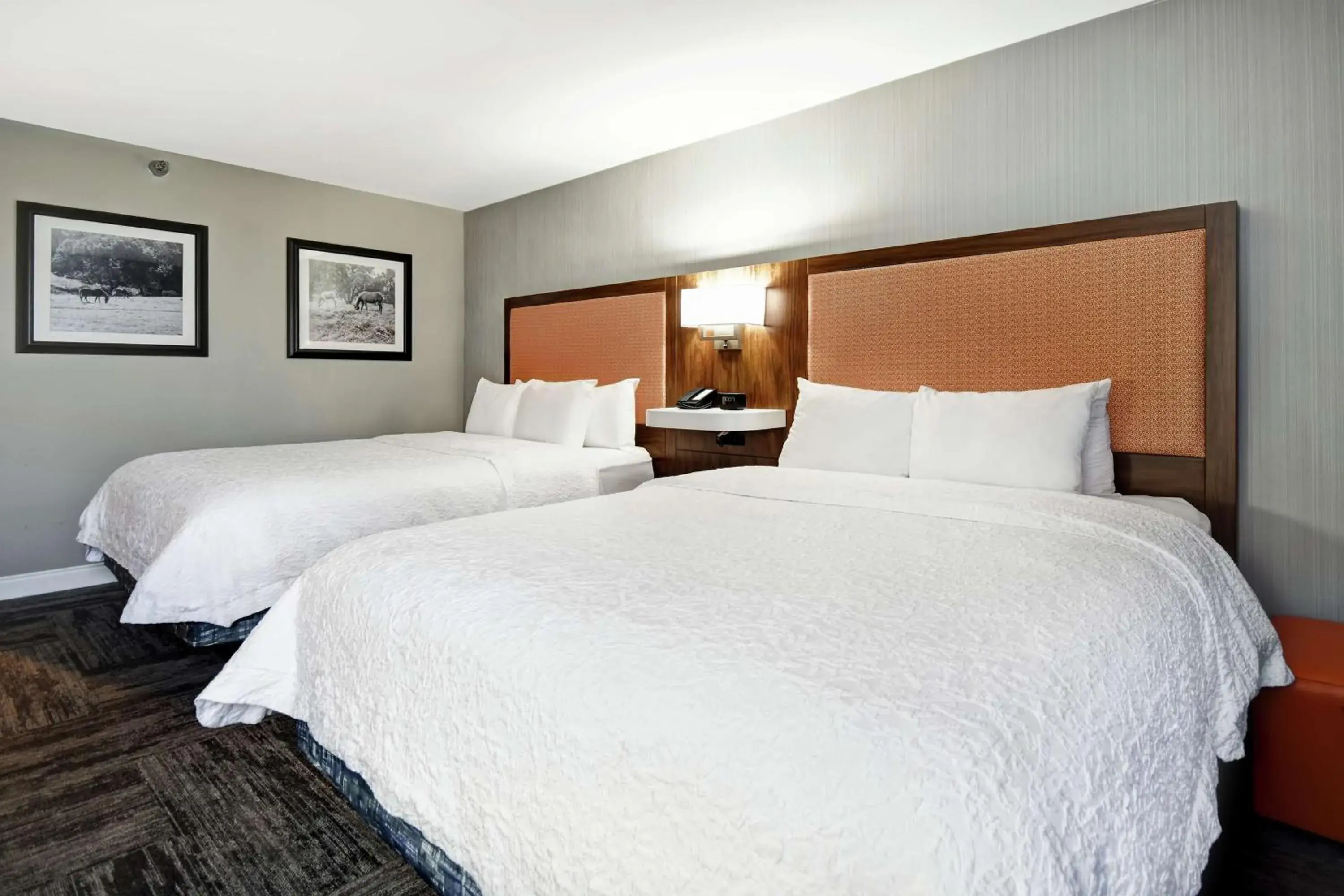 Photo of the whole room, Bed in Hampton Inn Lexington I-75 Photo of the whole room, Bed in Hampton Inn Lexington I-75