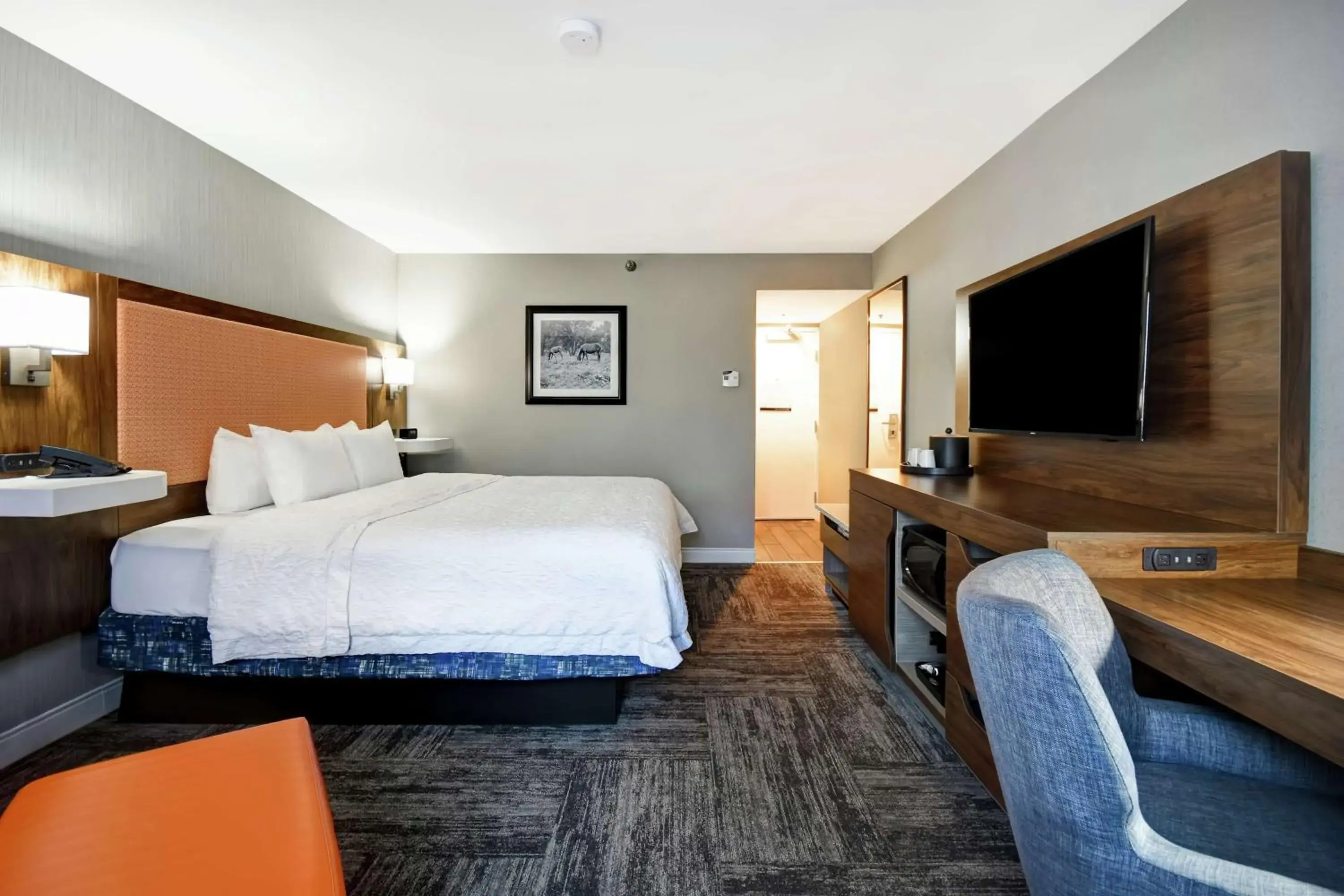 King Room - Non-Smoking in Hampton Inn Lexington I-75 King Room - Non-Smoking in Hampton Inn Lexington I-75