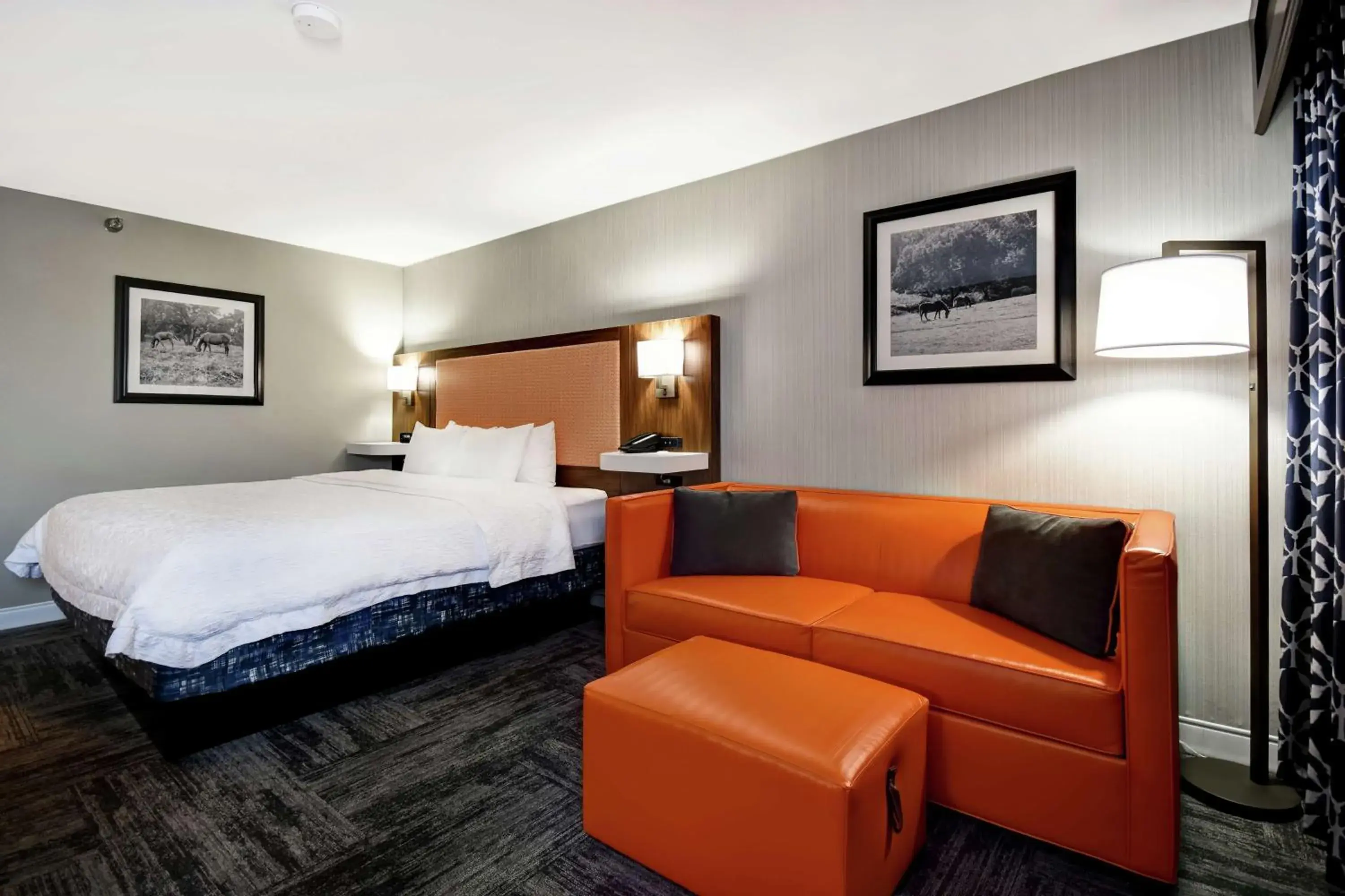 Photo of the whole room, Bed in Hampton Inn Lexington I-75 Photo of the whole room, Bed in Hampton Inn Lexington I-75