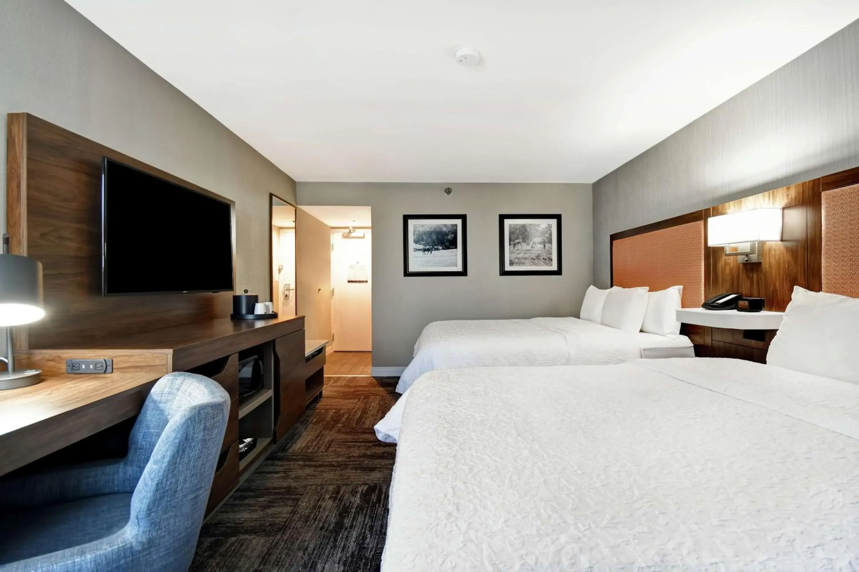 Photo of the whole room, Bed in Hampton Inn Lexington I-75 Photo of the whole room, Bed in Hampton Inn Lexington I-75