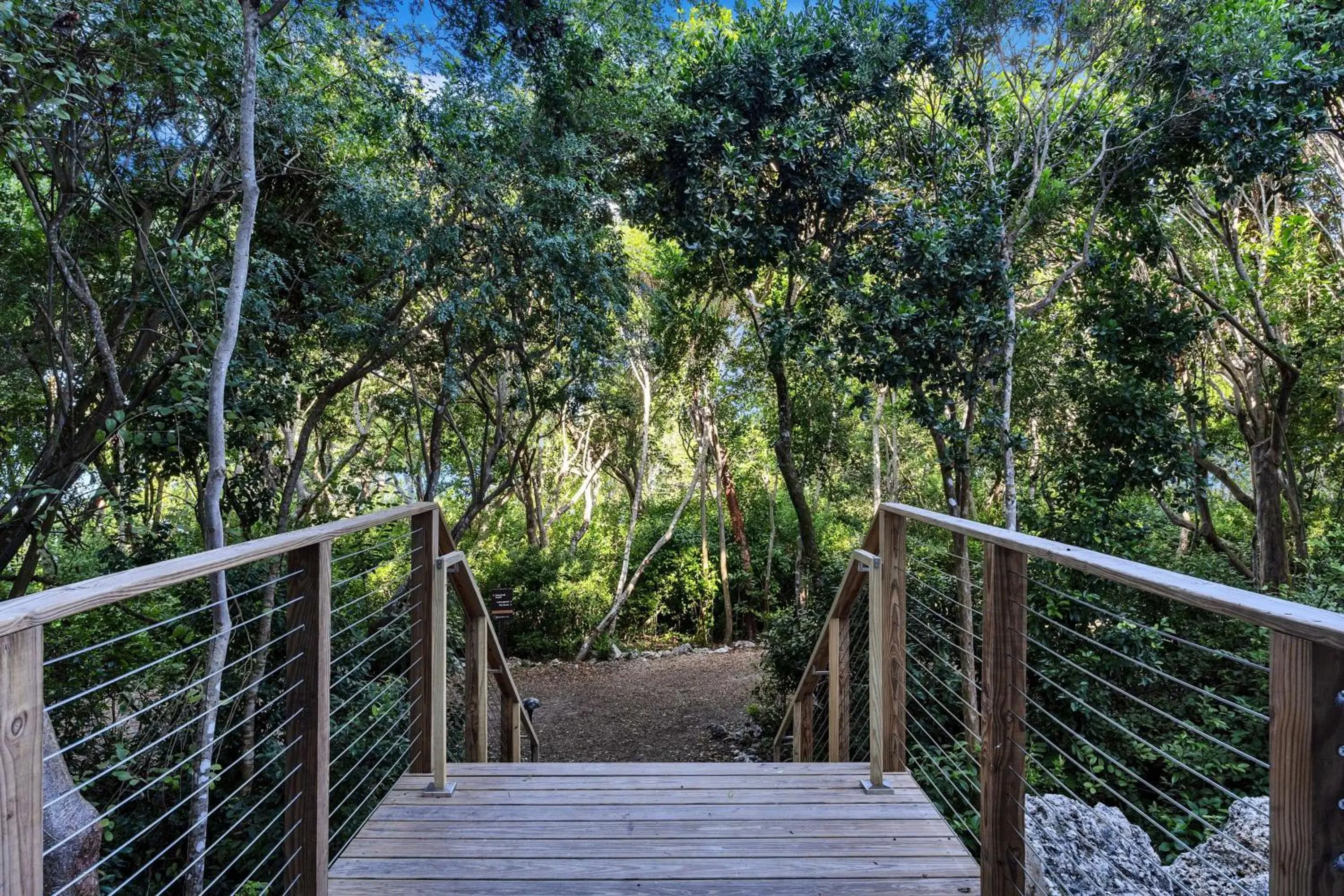 View (from property/room) in Baker's Cay Resort Key Largo, Curio Collection By Hilton View (from property/room) in Baker's Cay Resort Key Largo, Curio Collection By Hilton