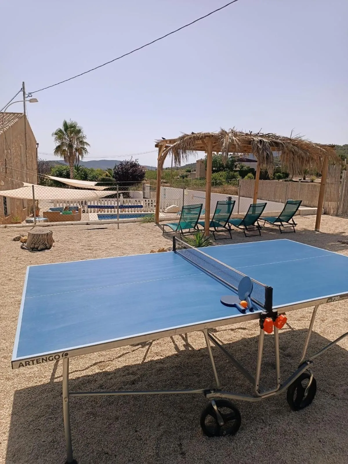 Table tennis in Sunny Vista