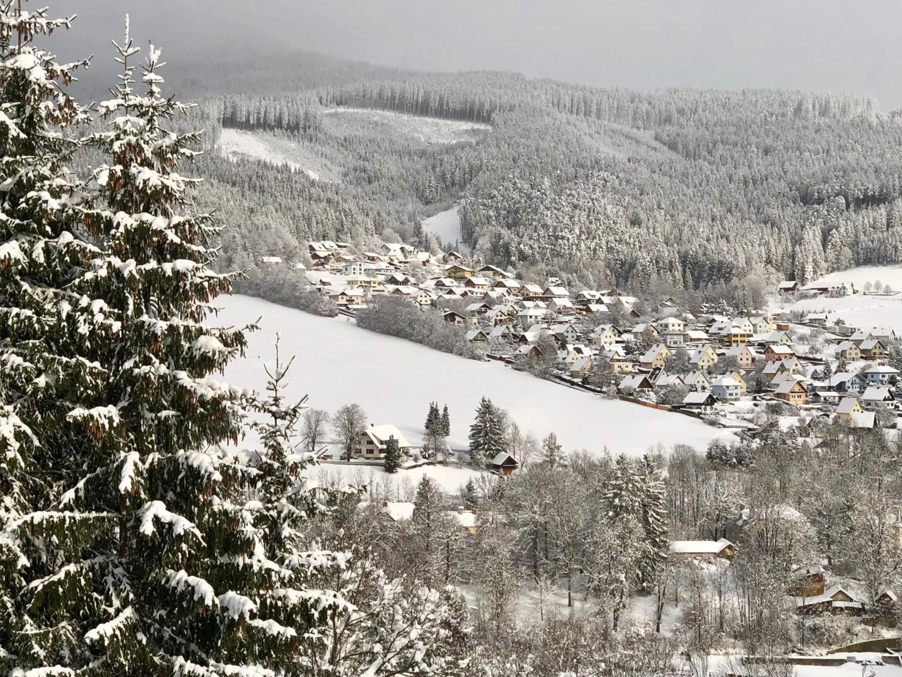 Property building in Lambach Villa