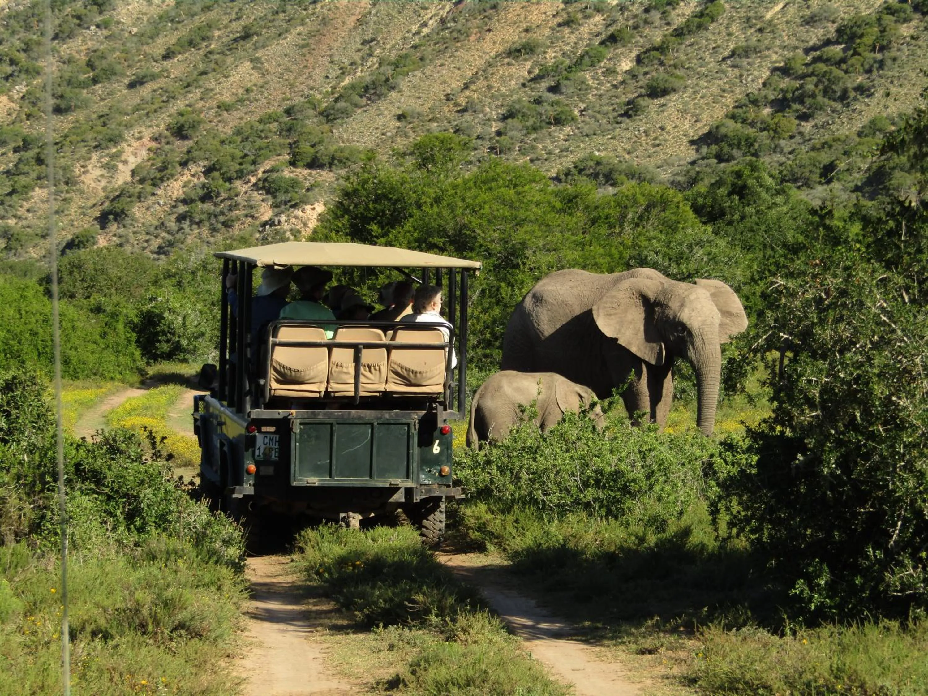 Activities in Leeuwenbosch Country House - Amakhala Game Reserve