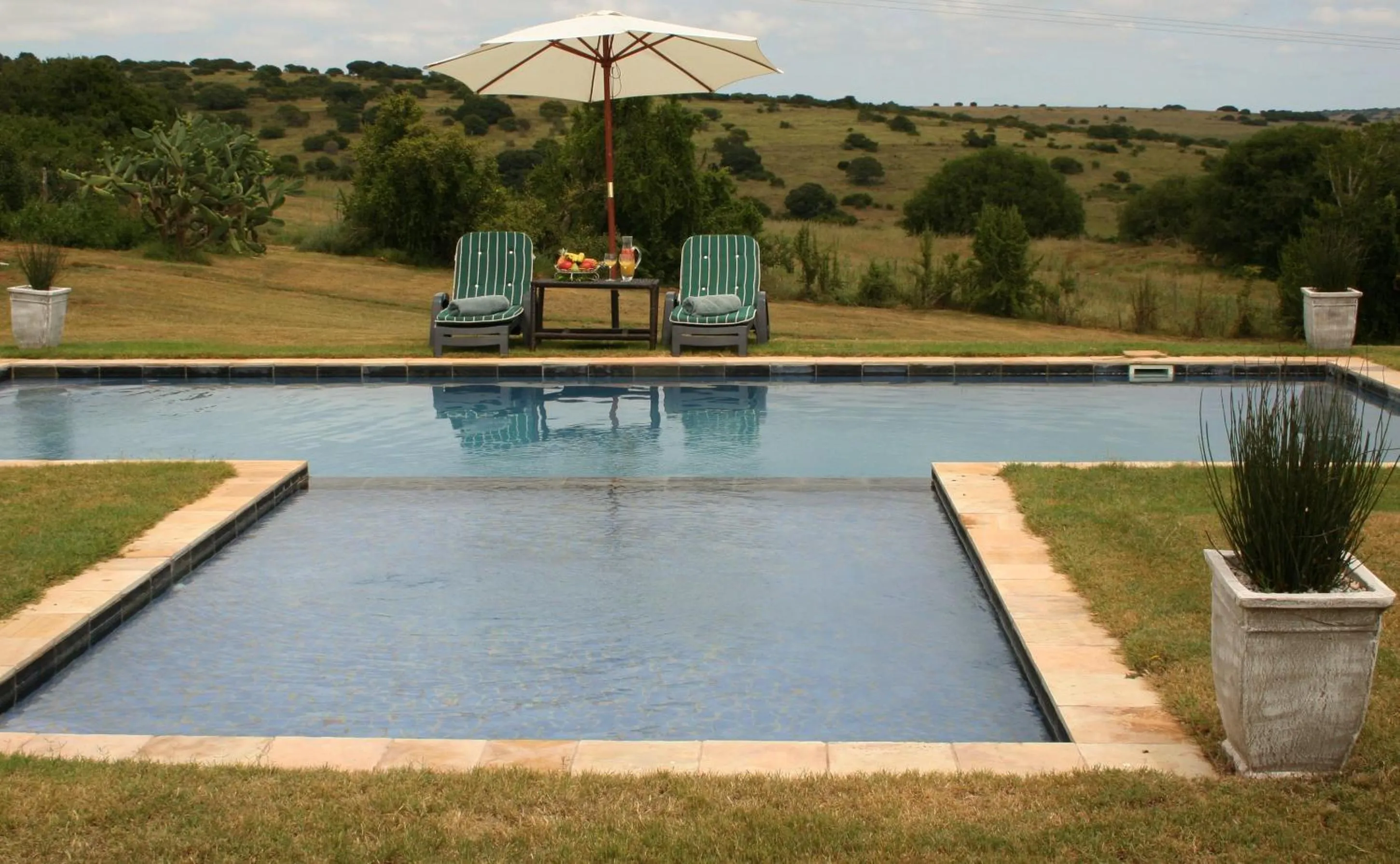 Natural landscape in Leeuwenbosch Country House - Amakhala Game Reserve