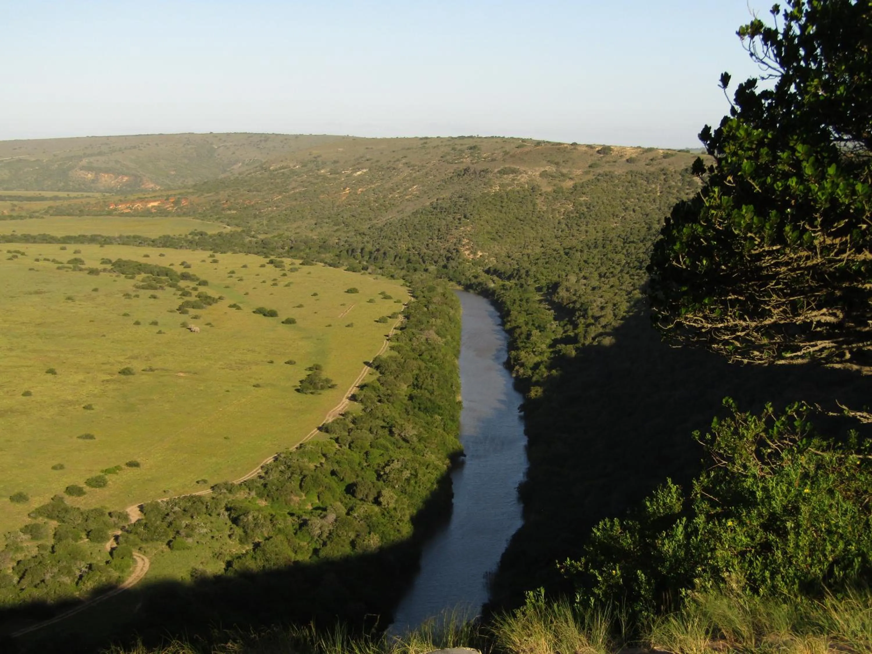 Natural landscape in Leeuwenbosch Country House - Amakhala Game Reserve