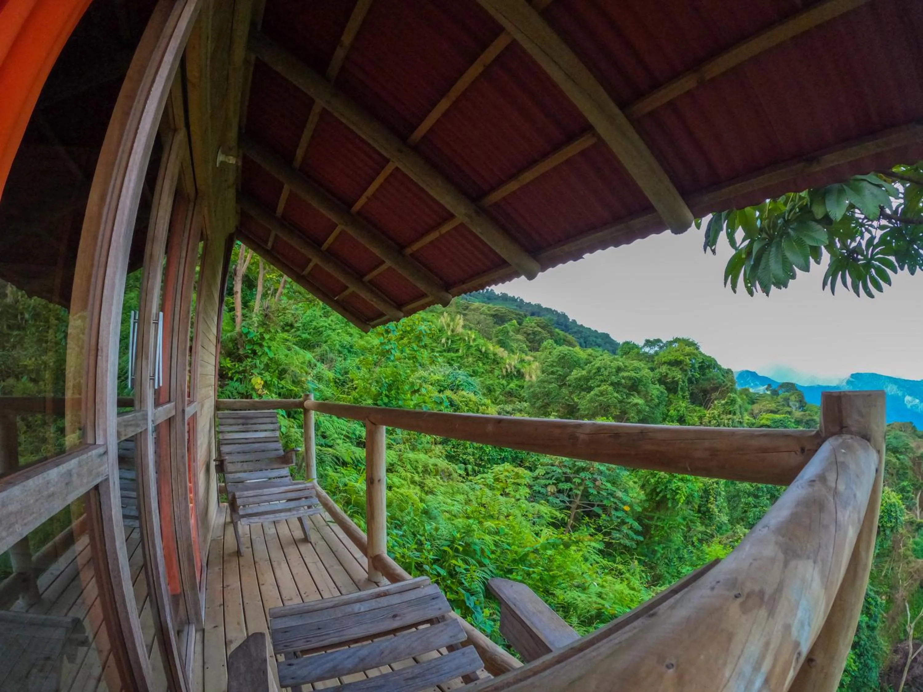 Natural landscape in Loma Nevada Minca Hotel