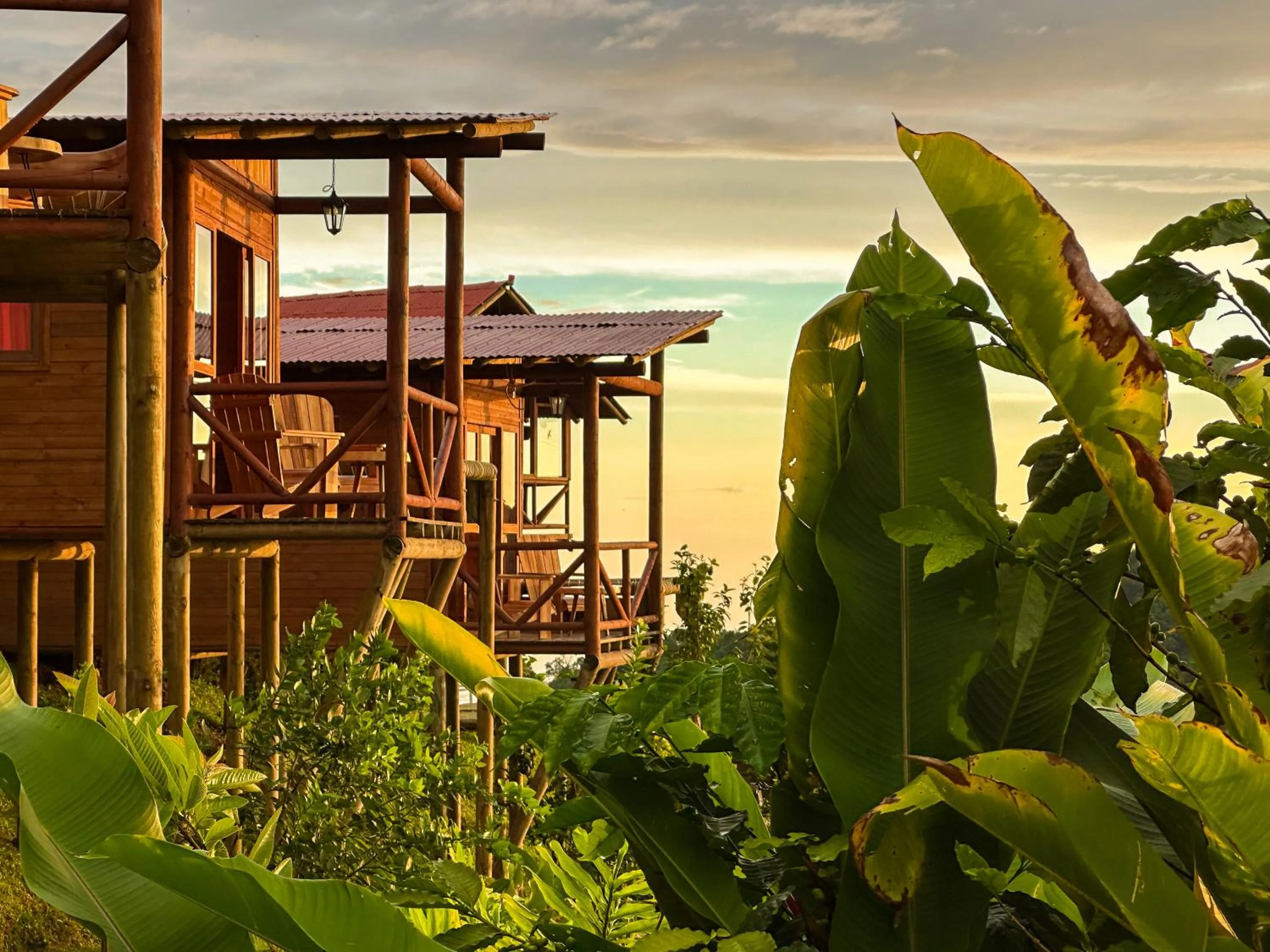 Natural landscape in Loma Nevada Minca Hotel