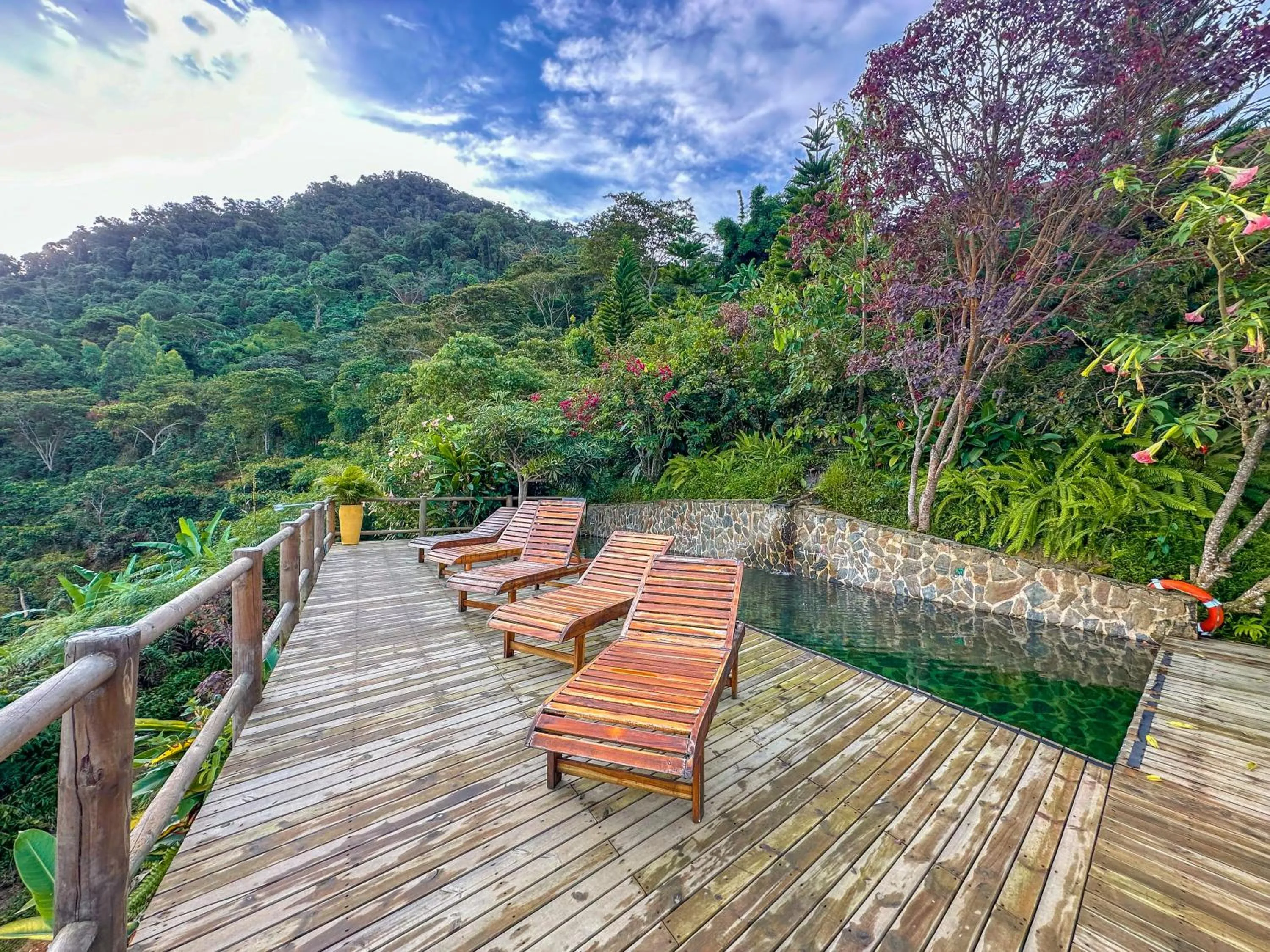 Mountain view in Loma Nevada Minca Hotel