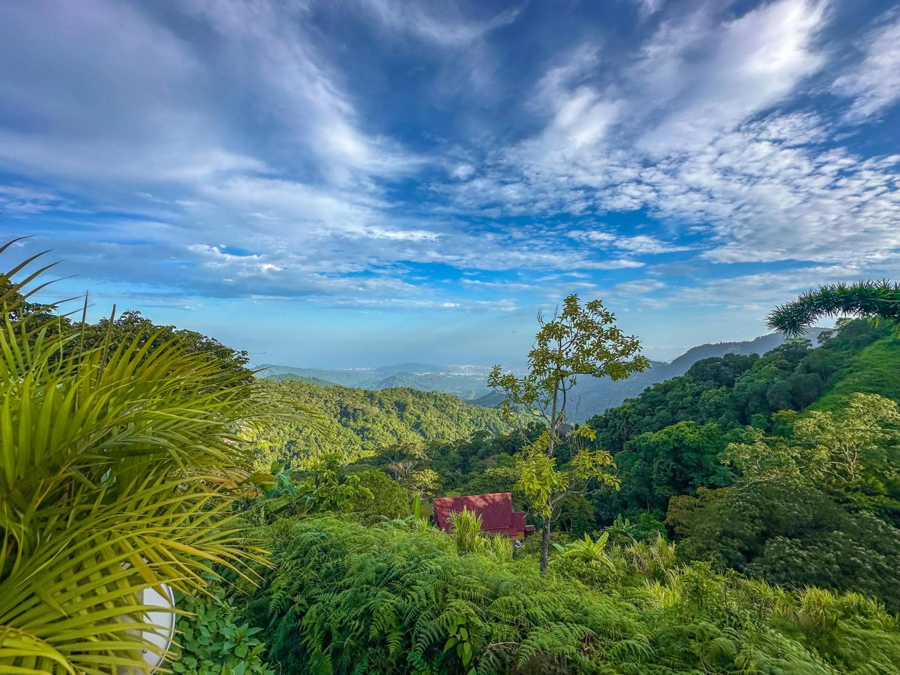 Mountain view in Loma Nevada Minca Hotel