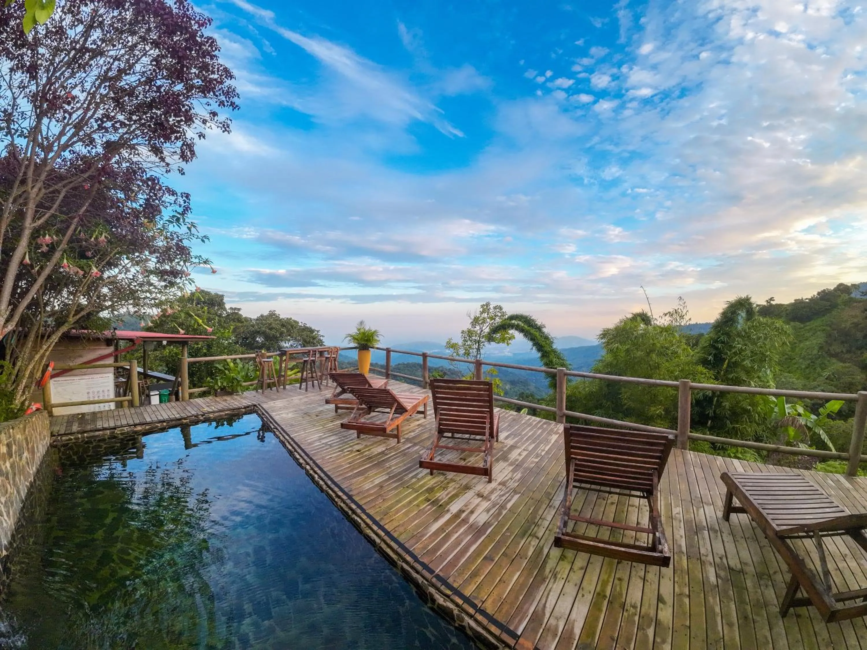 Pool view in Loma Nevada Minca Hotel