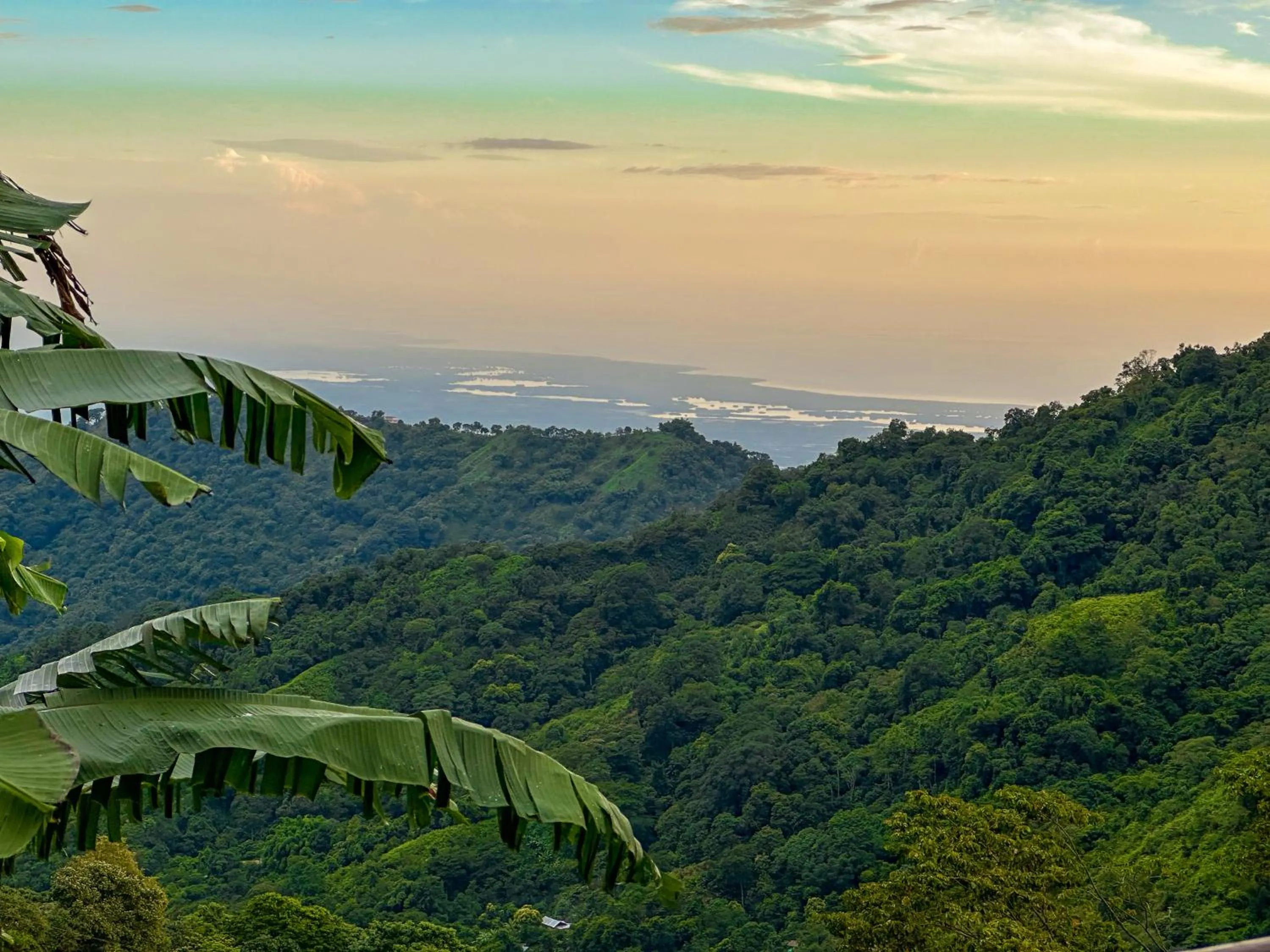 Natural landscape in Loma Nevada Minca Hotel