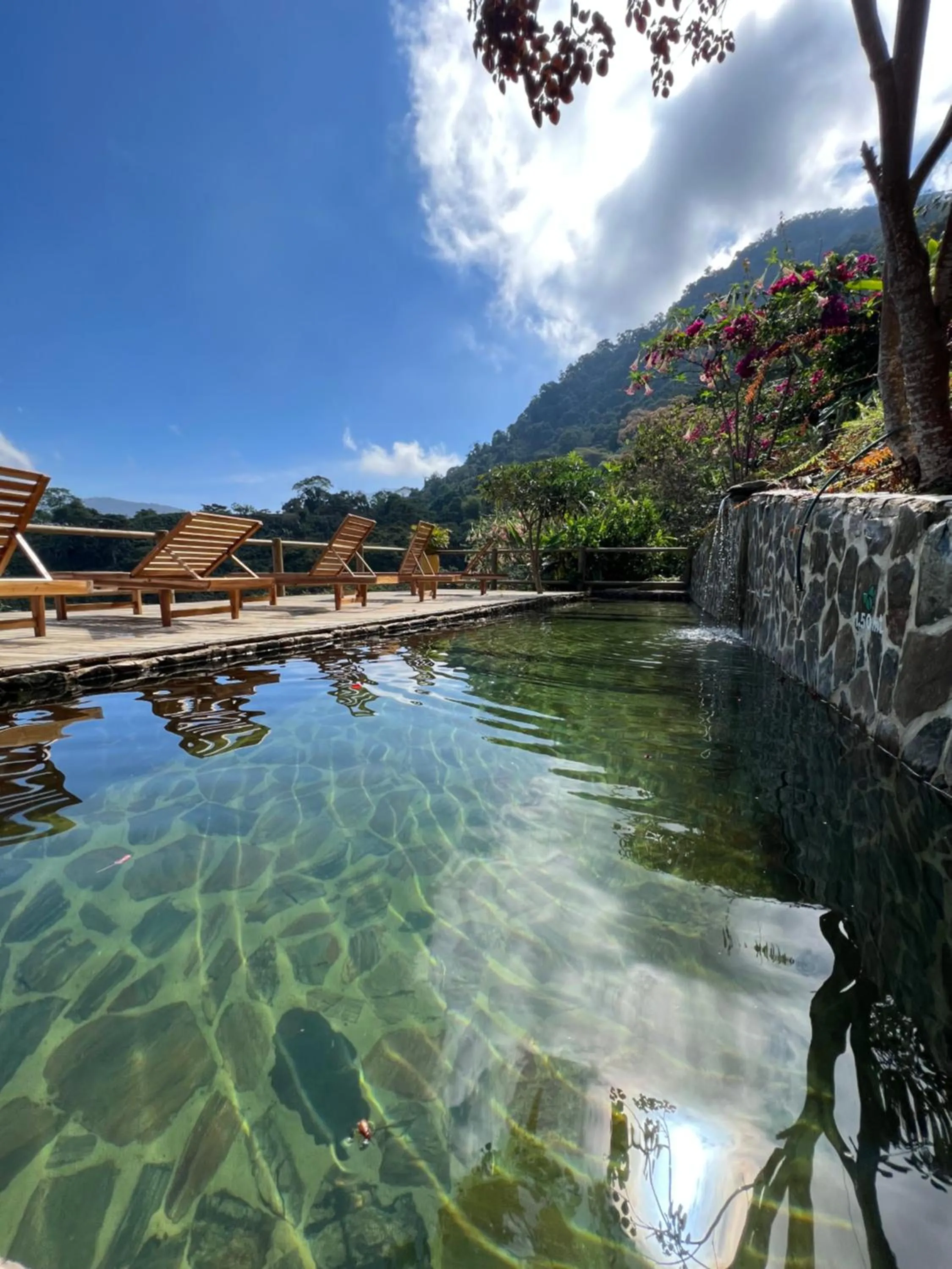 Swimming pool in Loma Nevada Minca Hotel