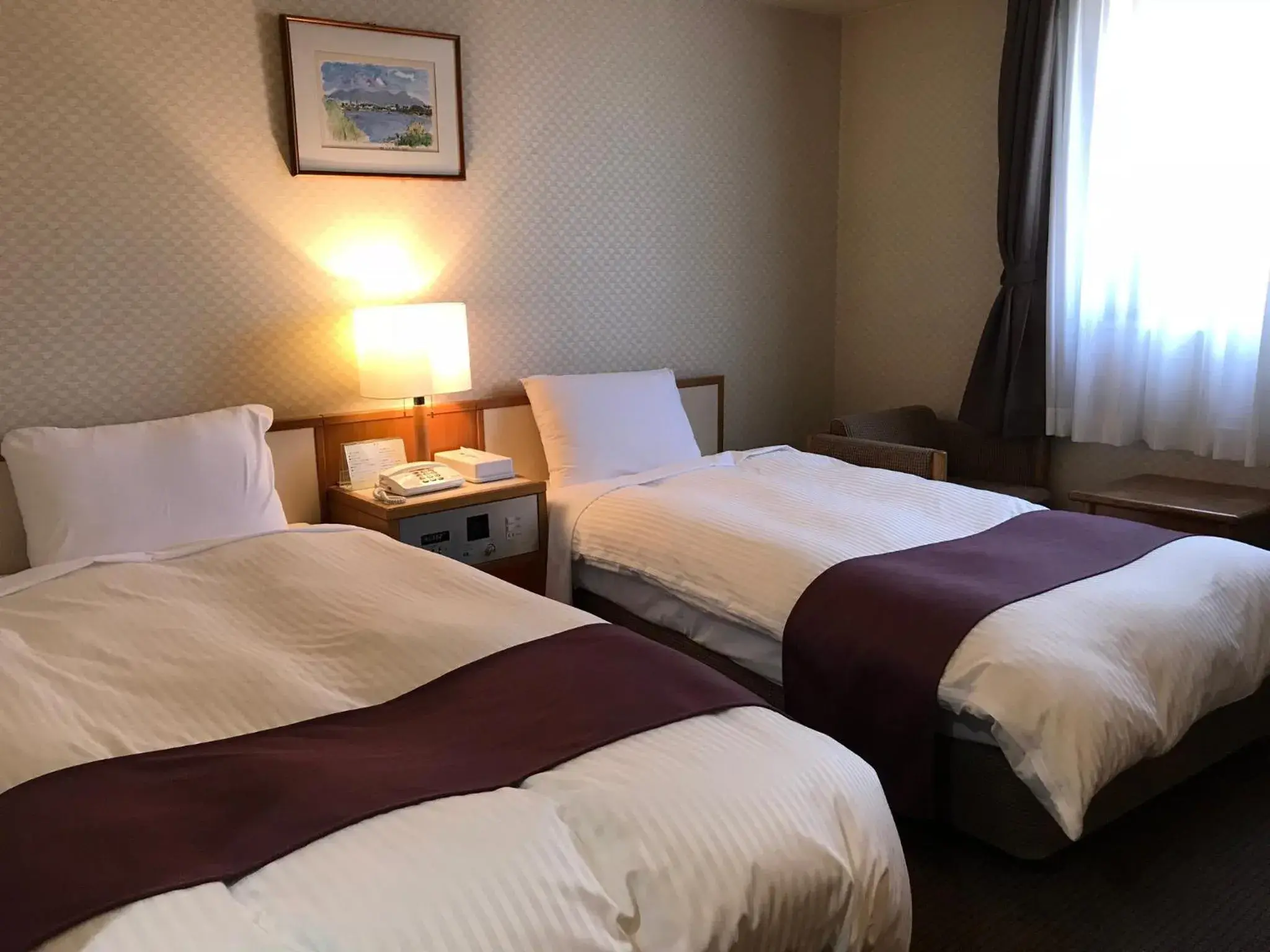 Twin Room - single occupancy in Hotel Takeshi Sanso Twin Room - single occupancy in Hotel Takeshi Sanso