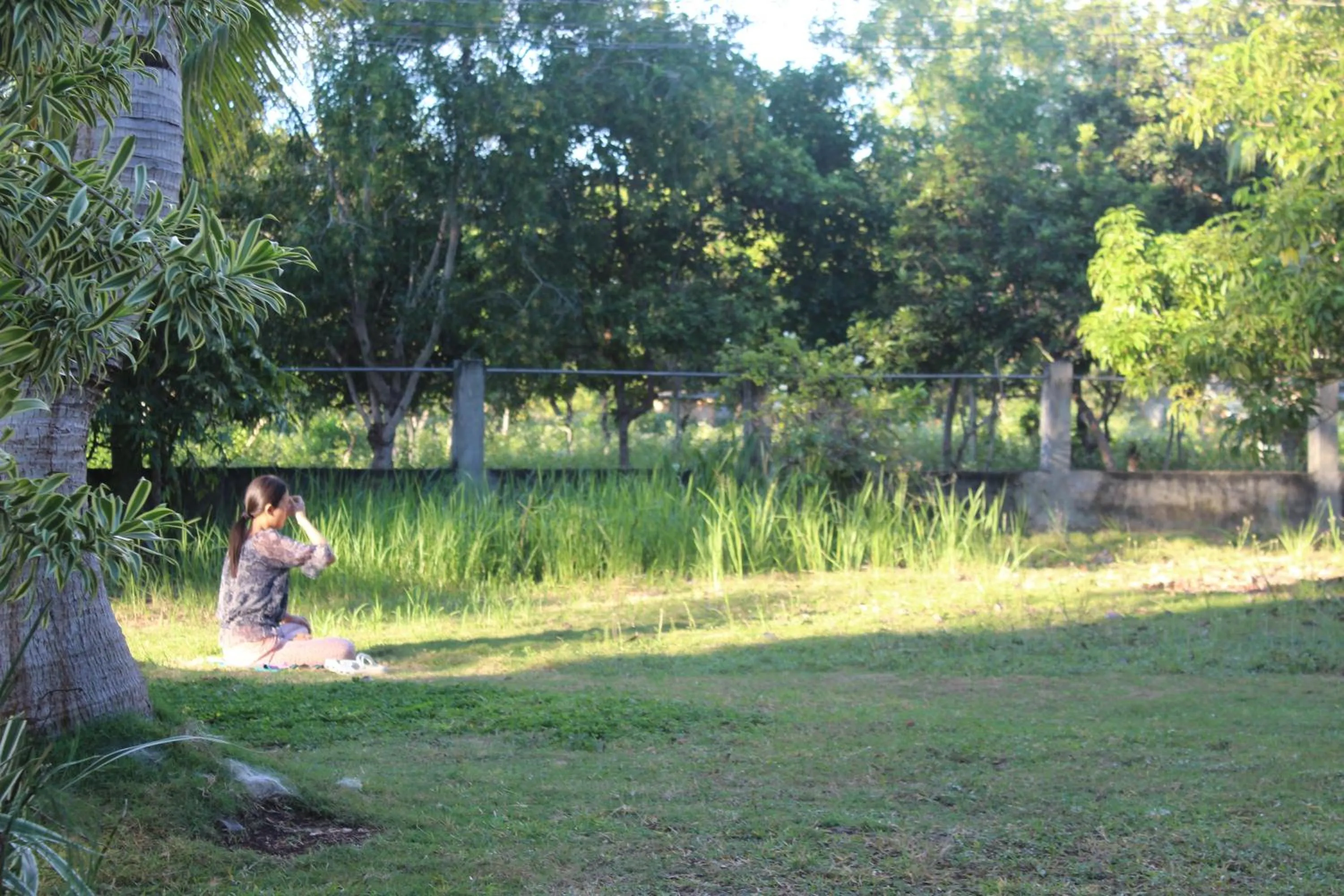 Garden in Walkerz Inn