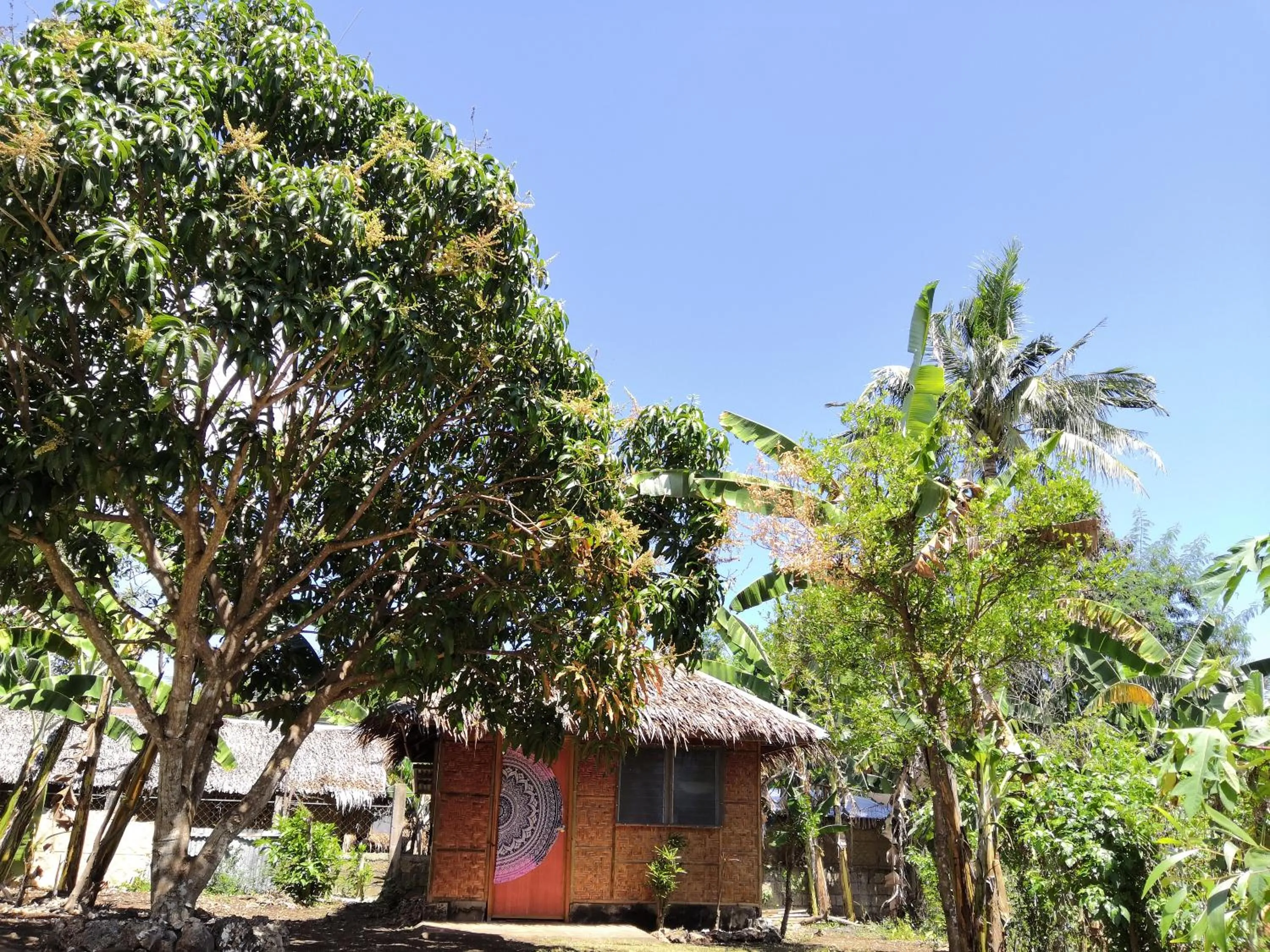 Property building in Walkerz Inn