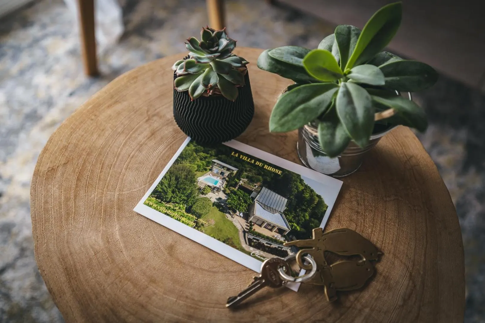 Property logo or sign in La Villa du Rhône