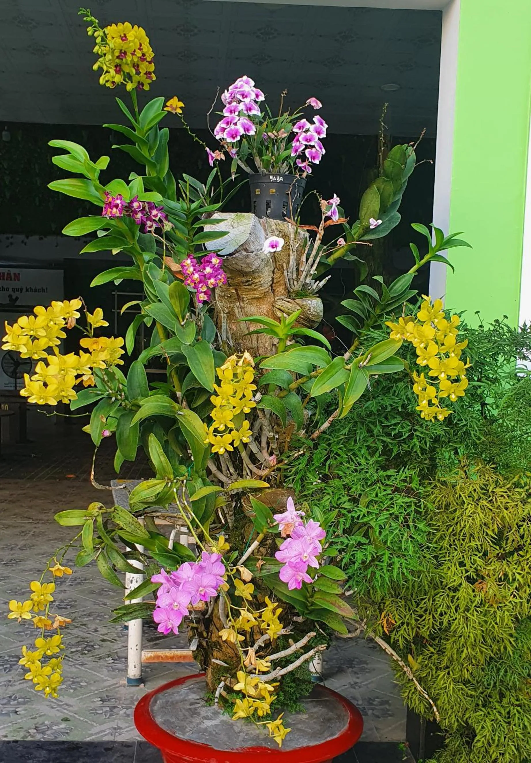 Garden in Khách Sạn Nhà Hàng Ngọc Hân