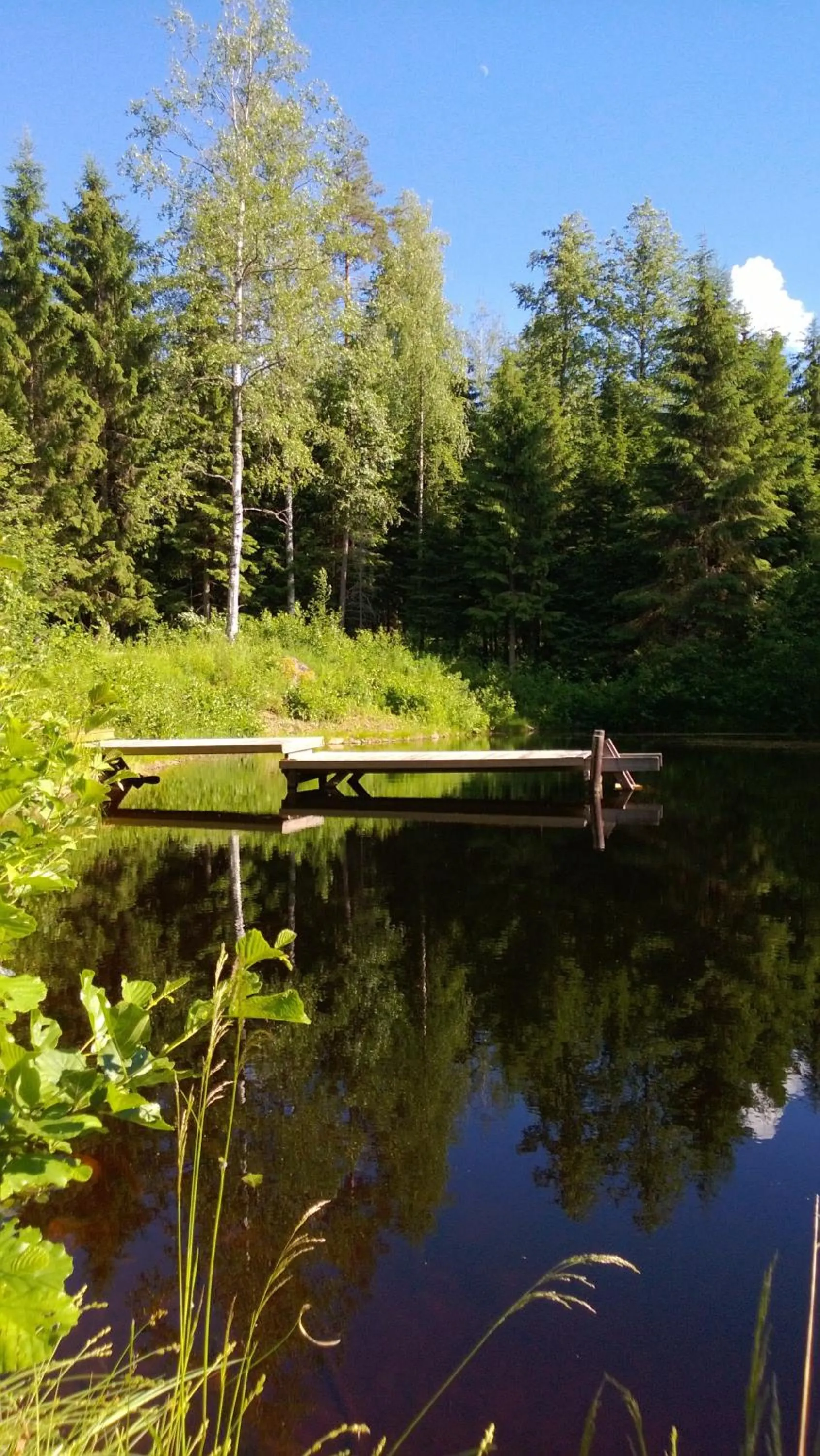 Natural landscape in Tervalepikon Torpat