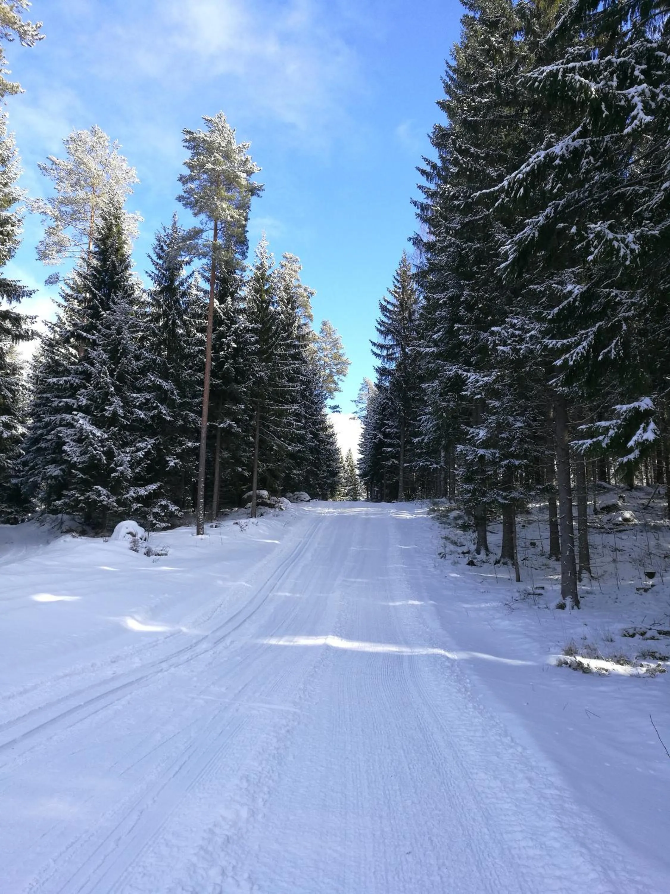 Natural landscape in Tervalepikon Torpat