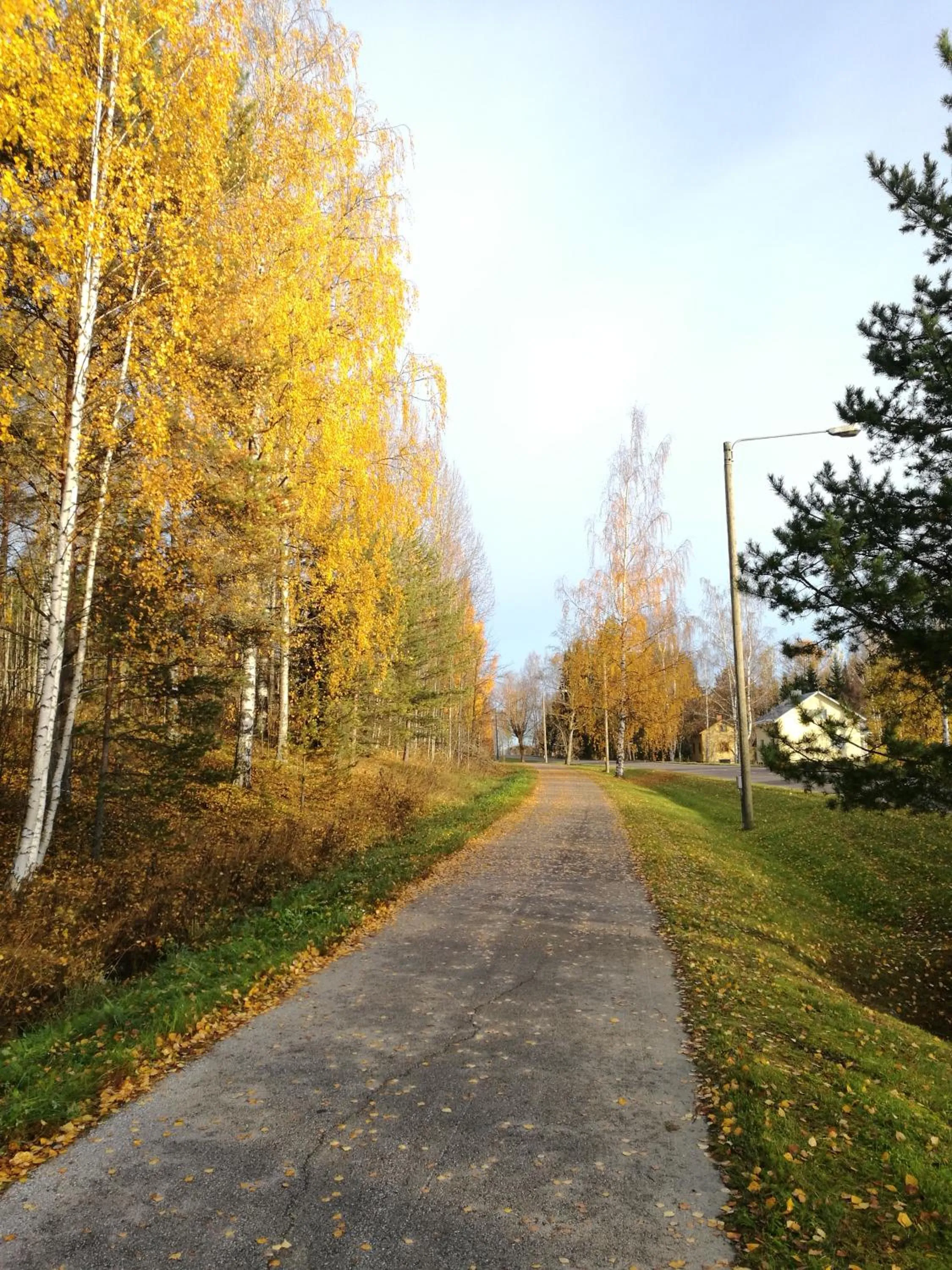 Natural landscape in Tervalepikon Torpat