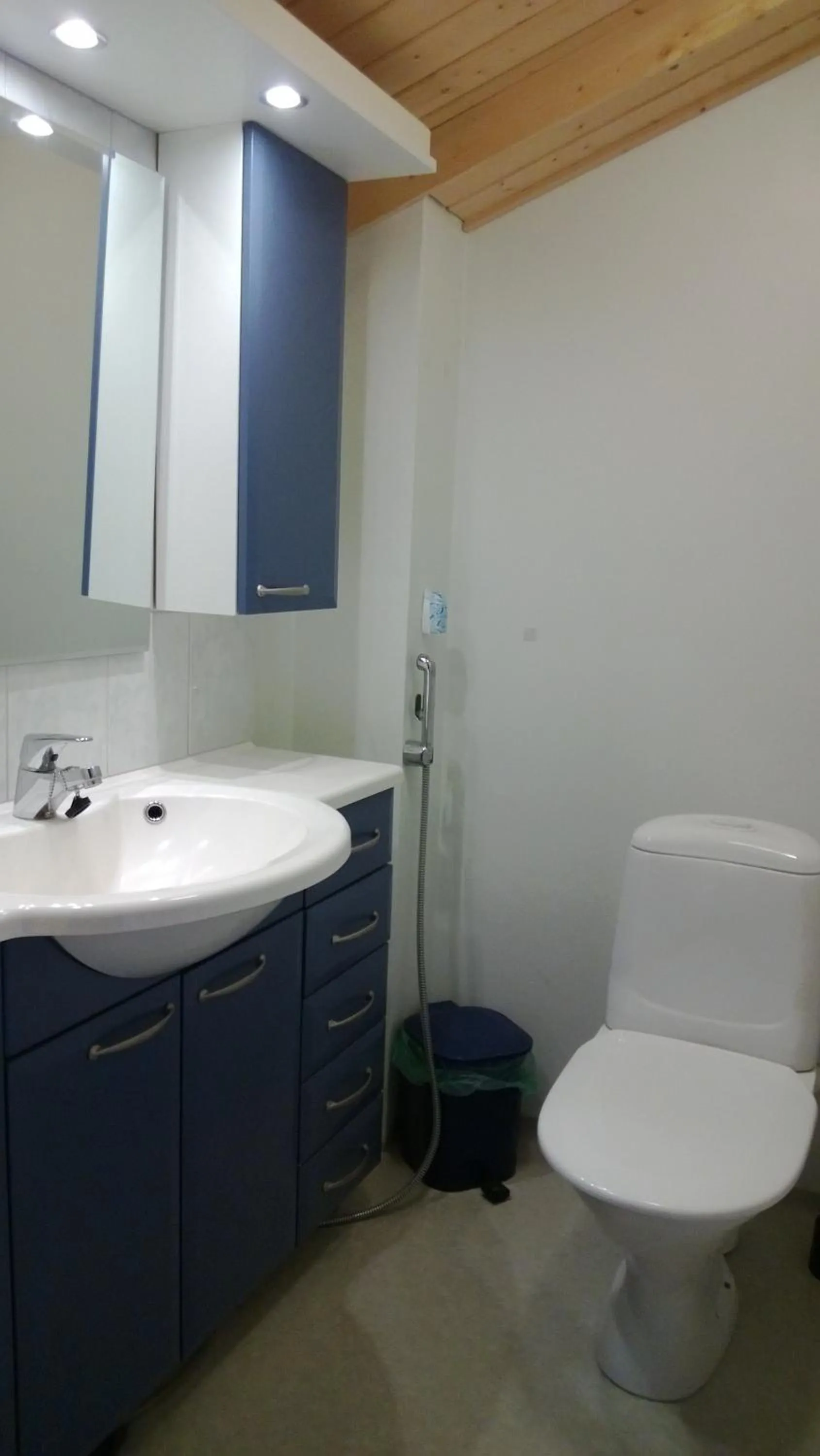 Toilet in Tervalepikon Torpat
