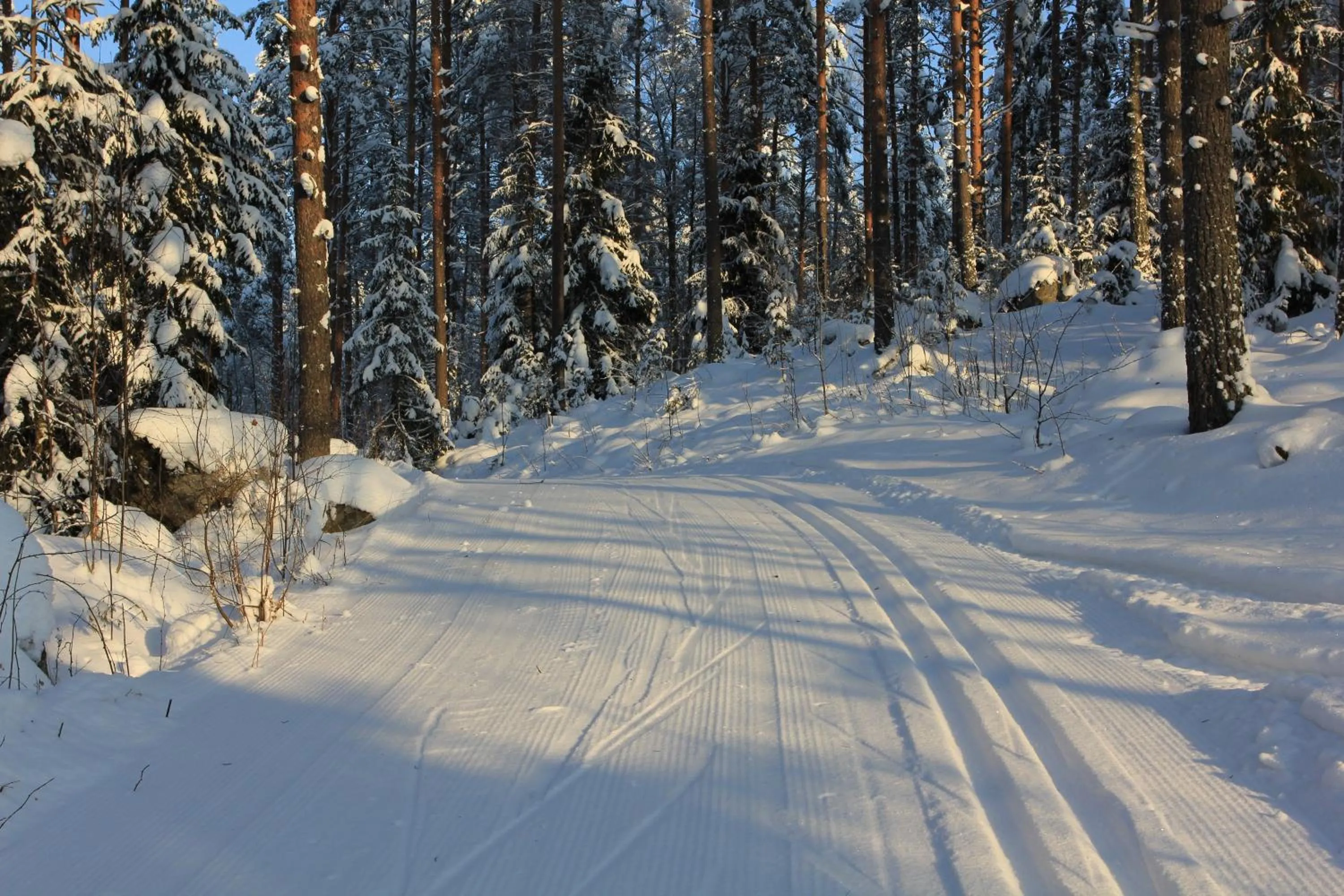 Natural landscape in Tervalepikon Torpat