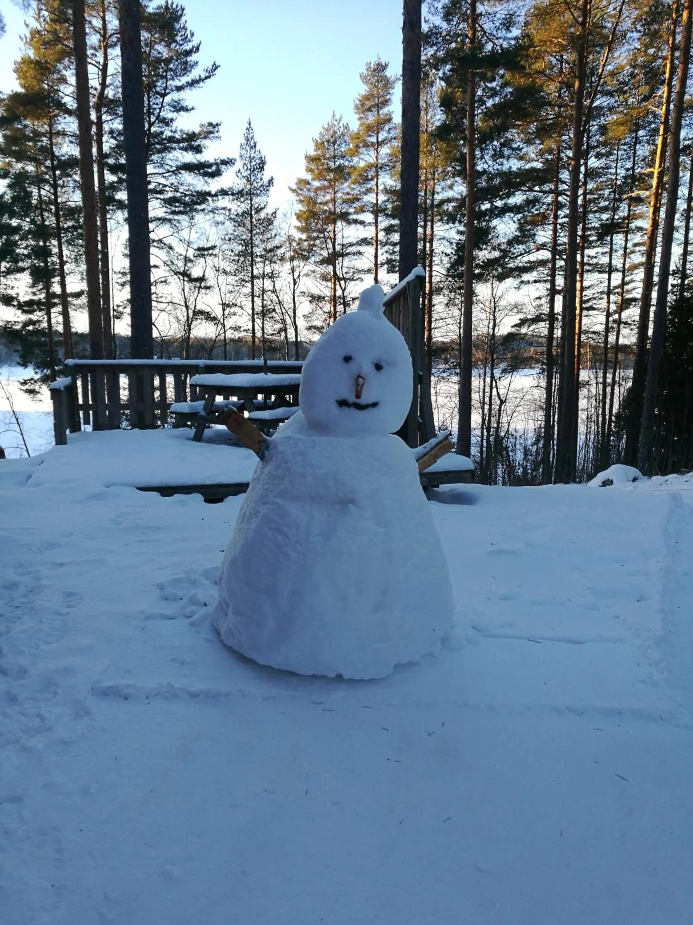 Winter in Tervalepikon Torpat