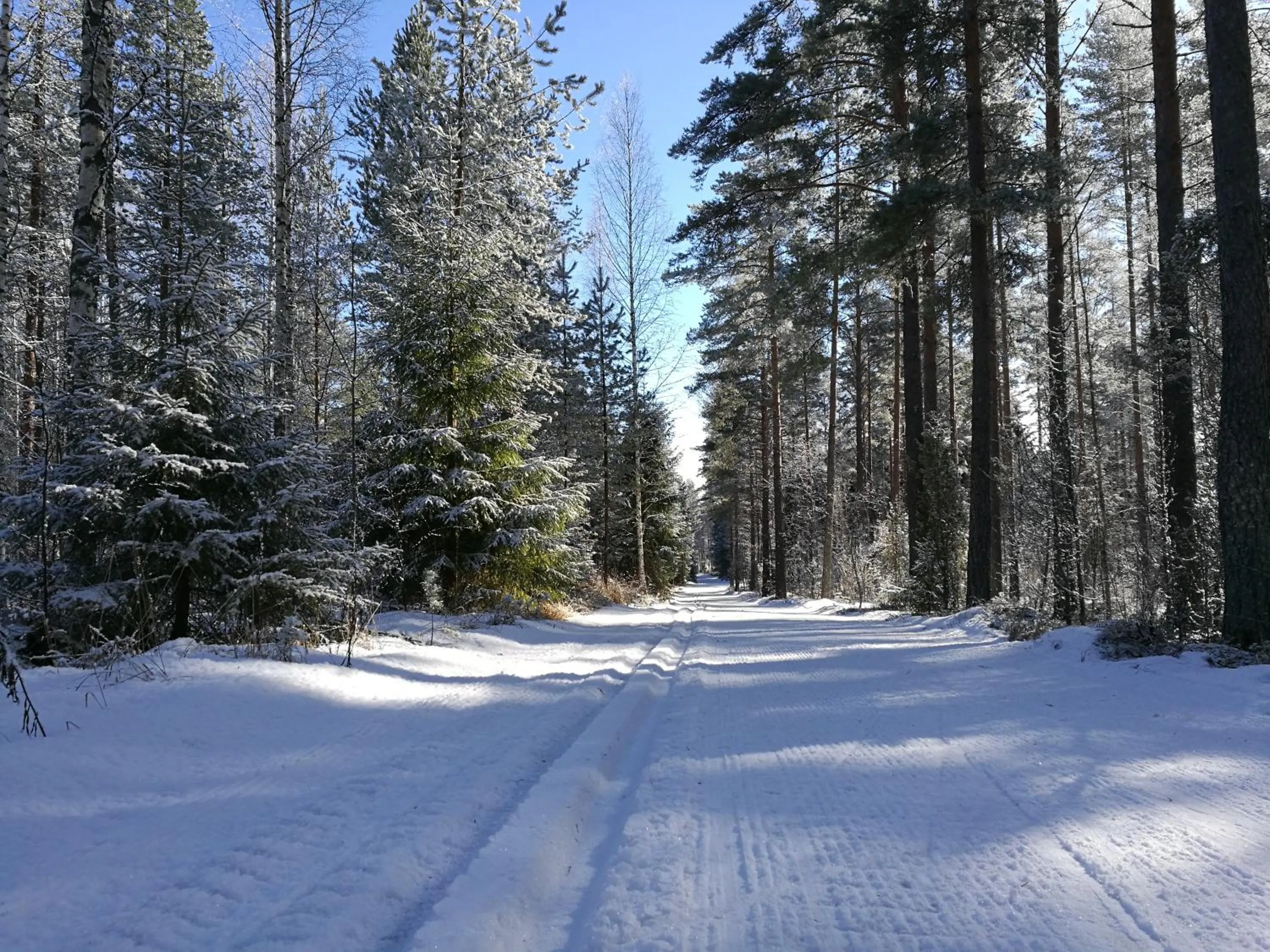 Natural landscape in Tervalepikon Torpat