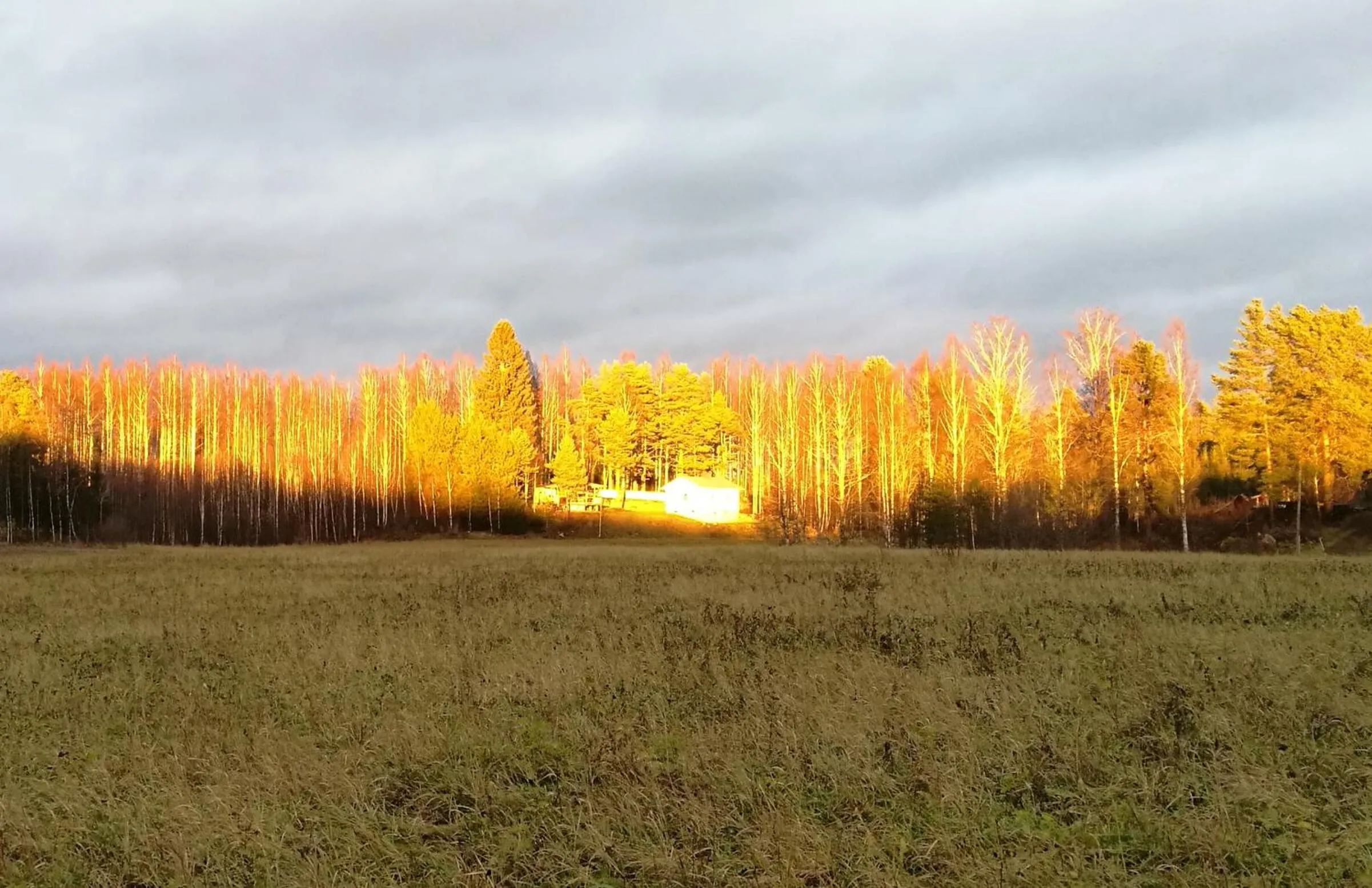 Natural landscape in Tervalepikon Torpat