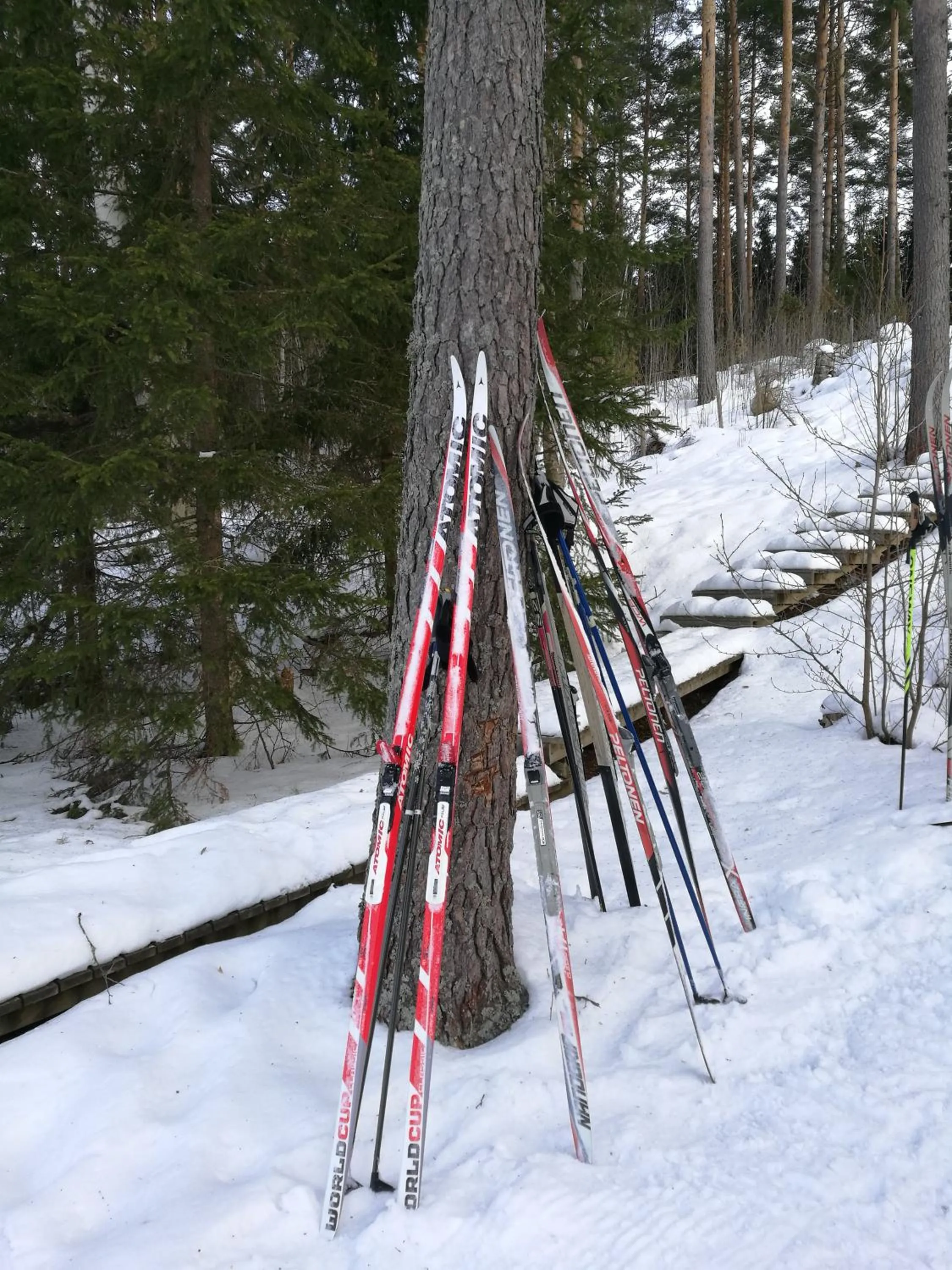Winter in Tervalepikon Torpat