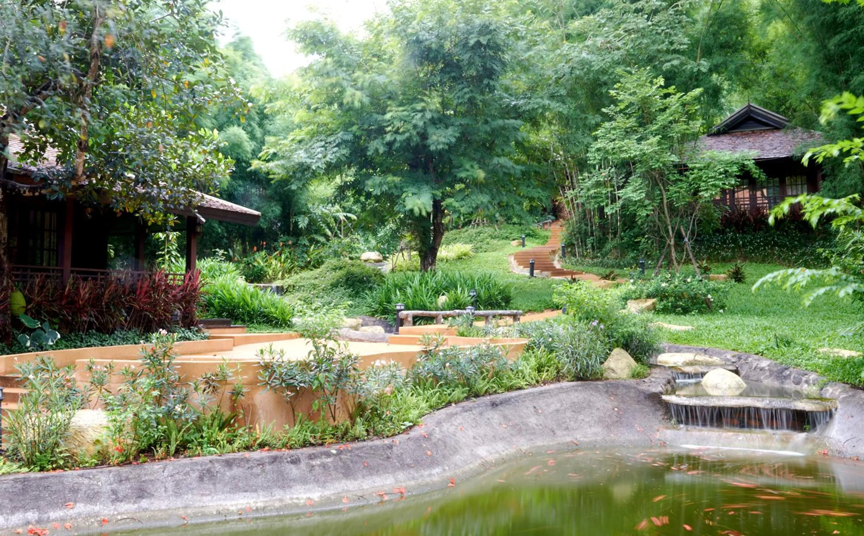 Natural landscape in คุ้มสะเมิง-Samoeng Center