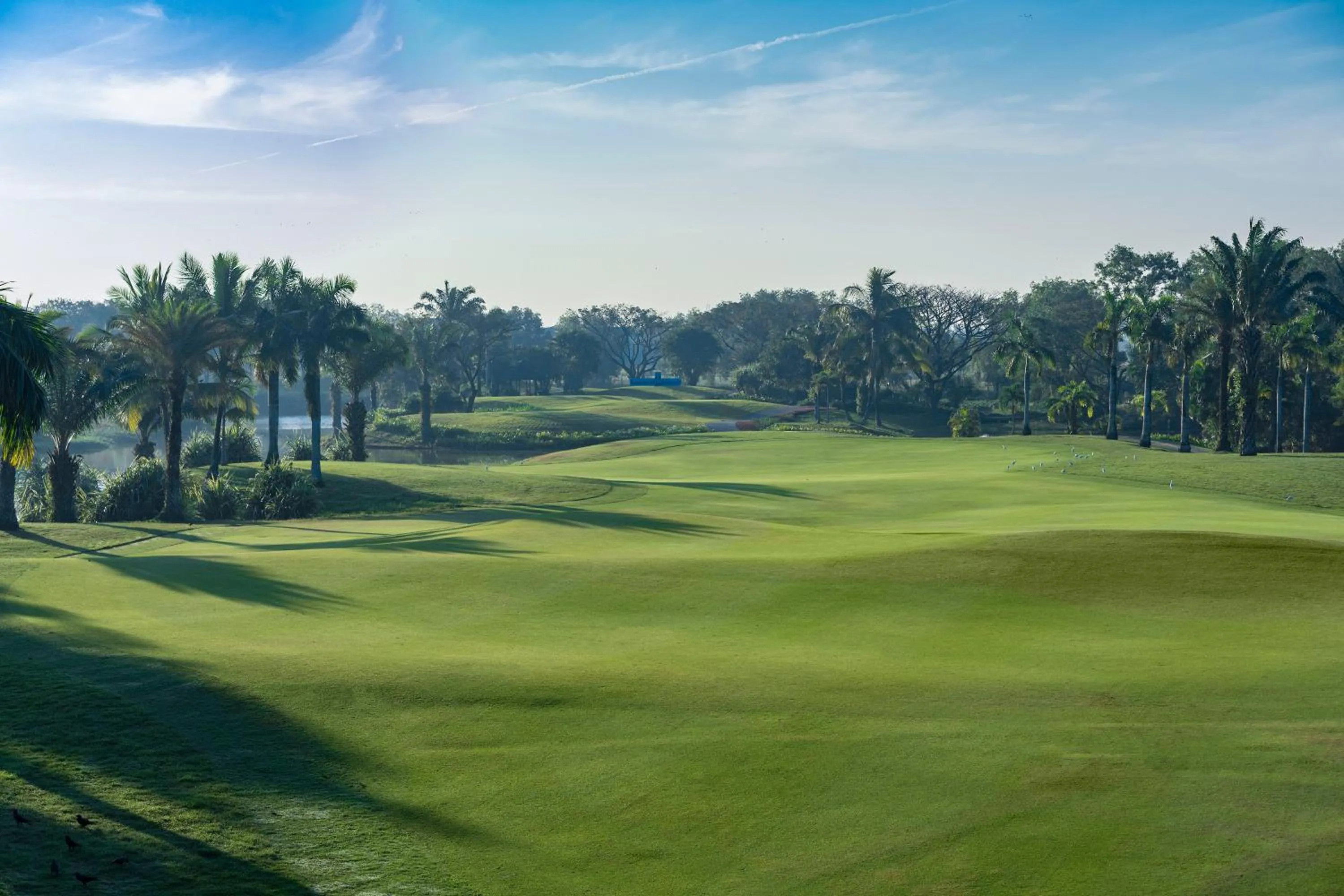Natural landscape in Awei Metta (Yangon)