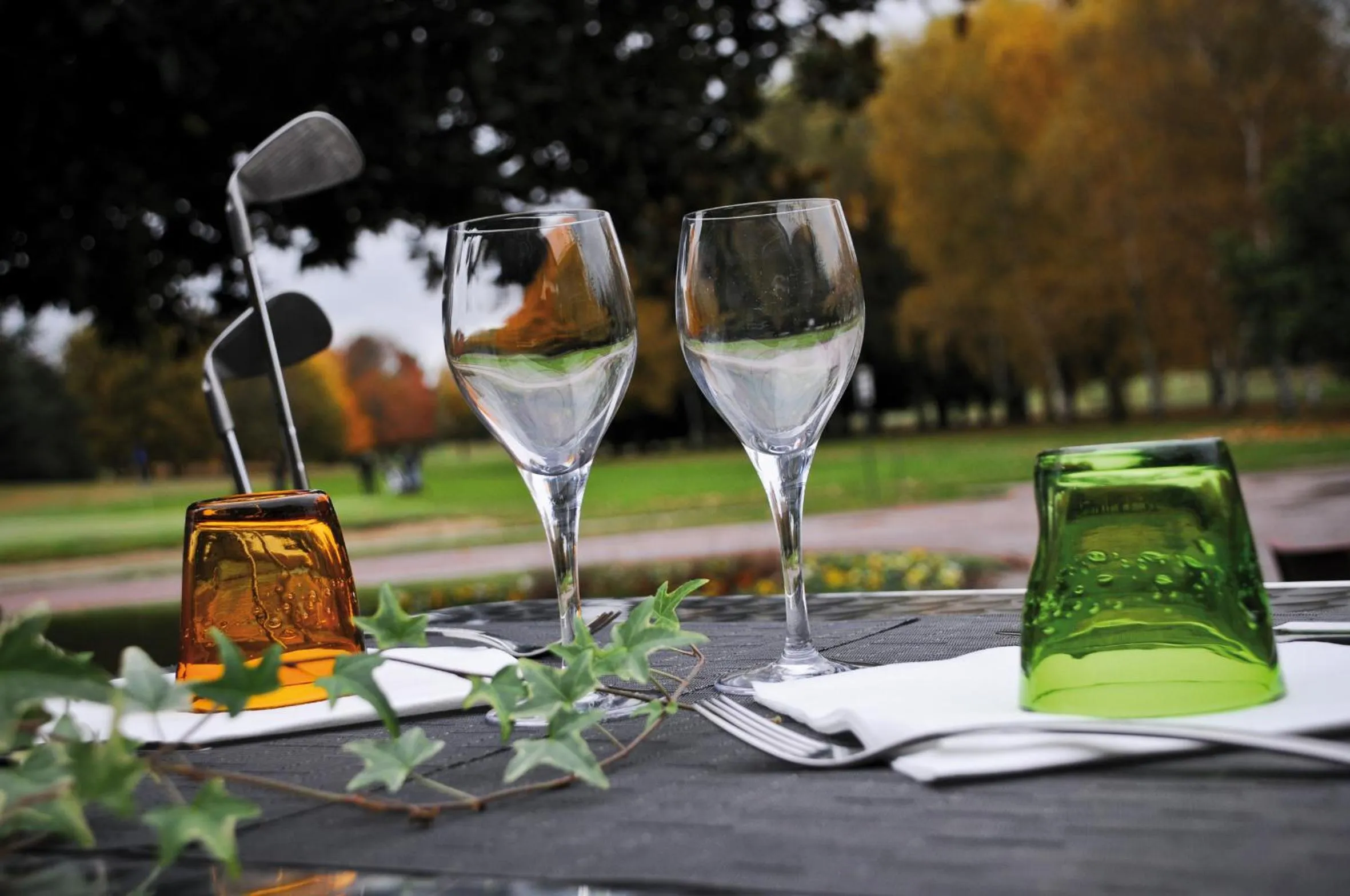 Golfcourse in Hôtel du Golf Saint Lazare