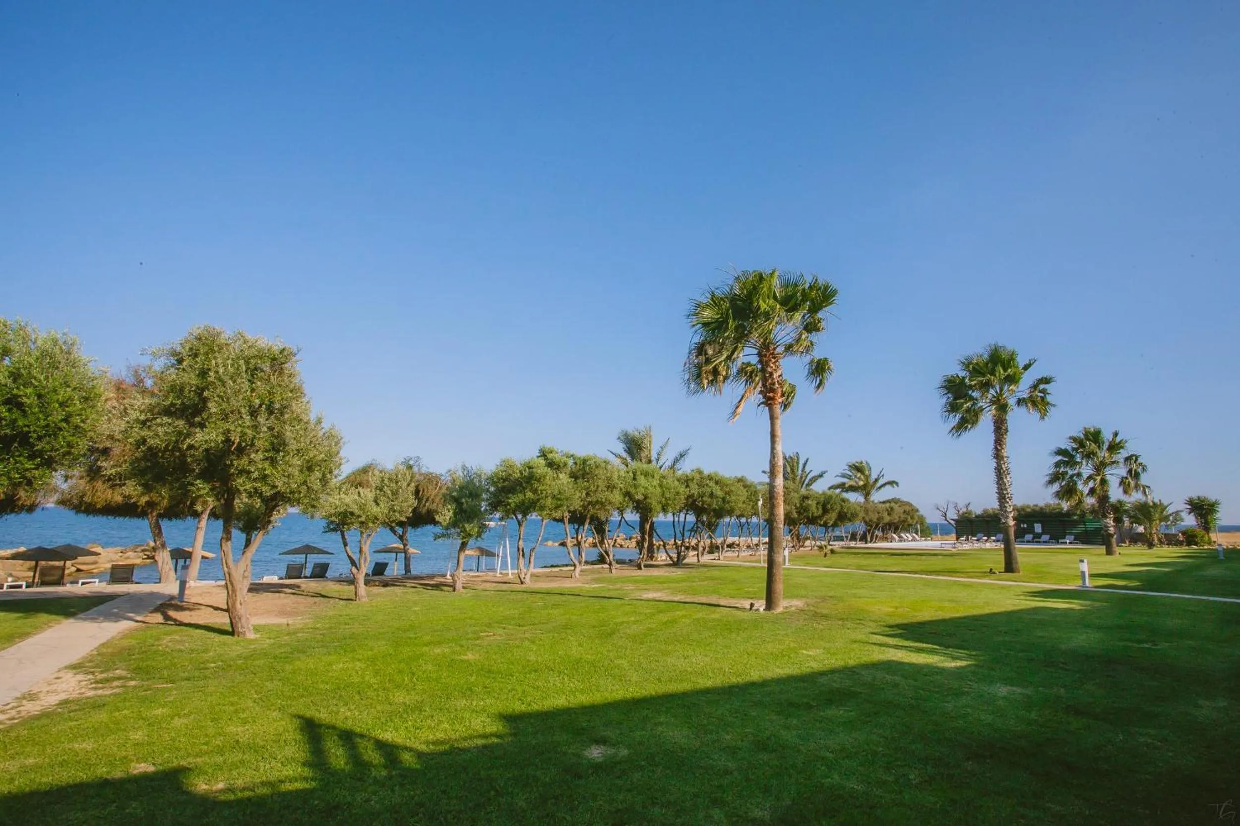 Garden in Elya Beach Luxury Suites