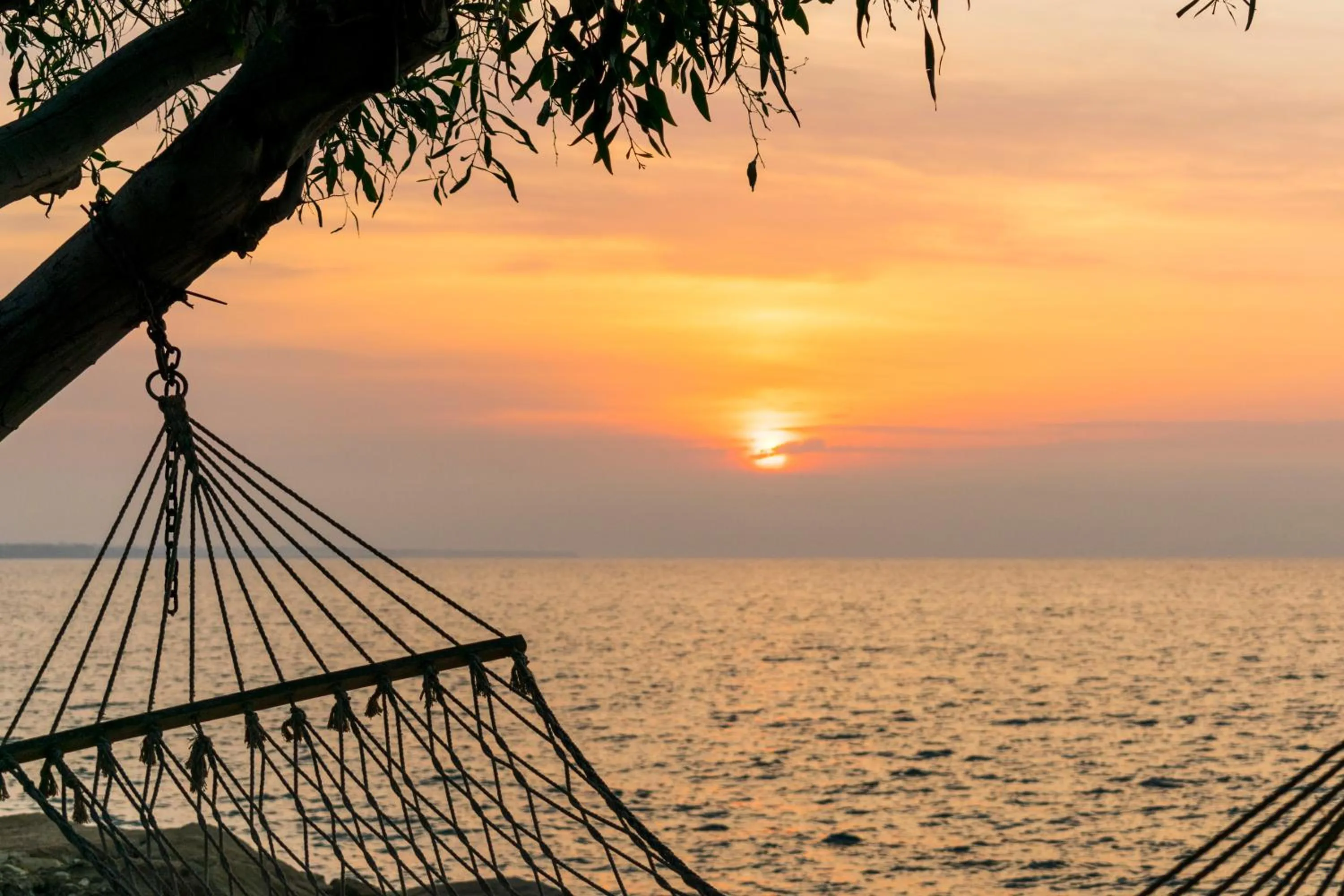 Beach in Elya Beach Luxury Suites