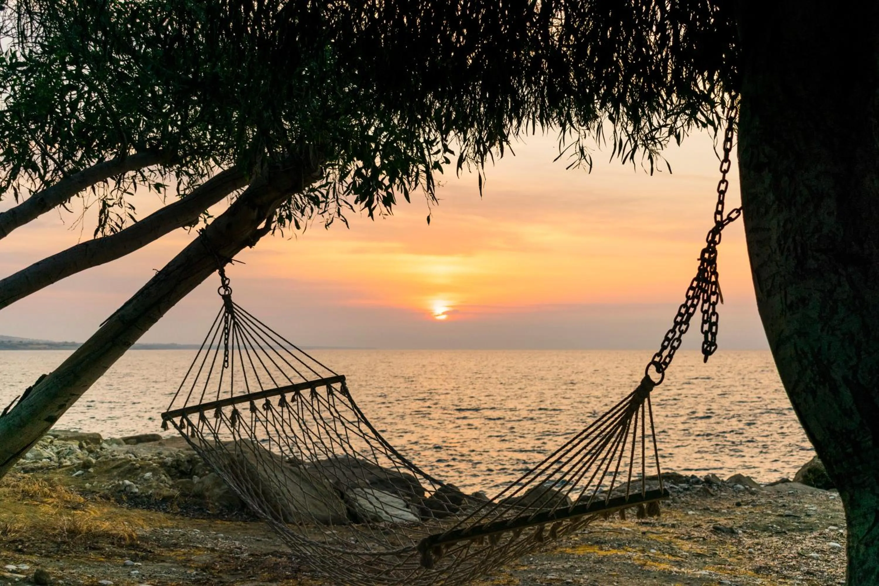 Beach in Elya Beach Luxury Suites