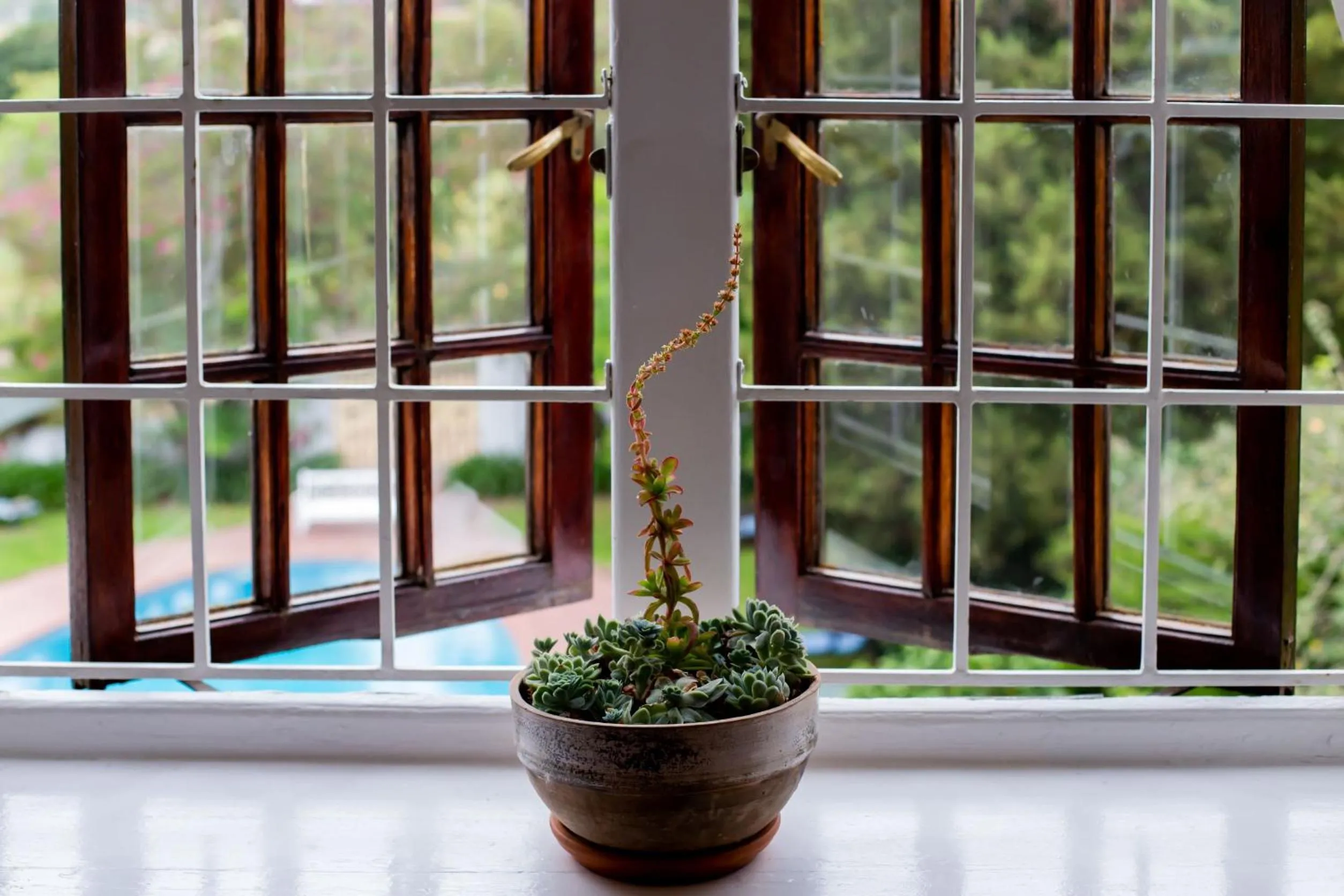 Garden view in Vredenburg Manor House