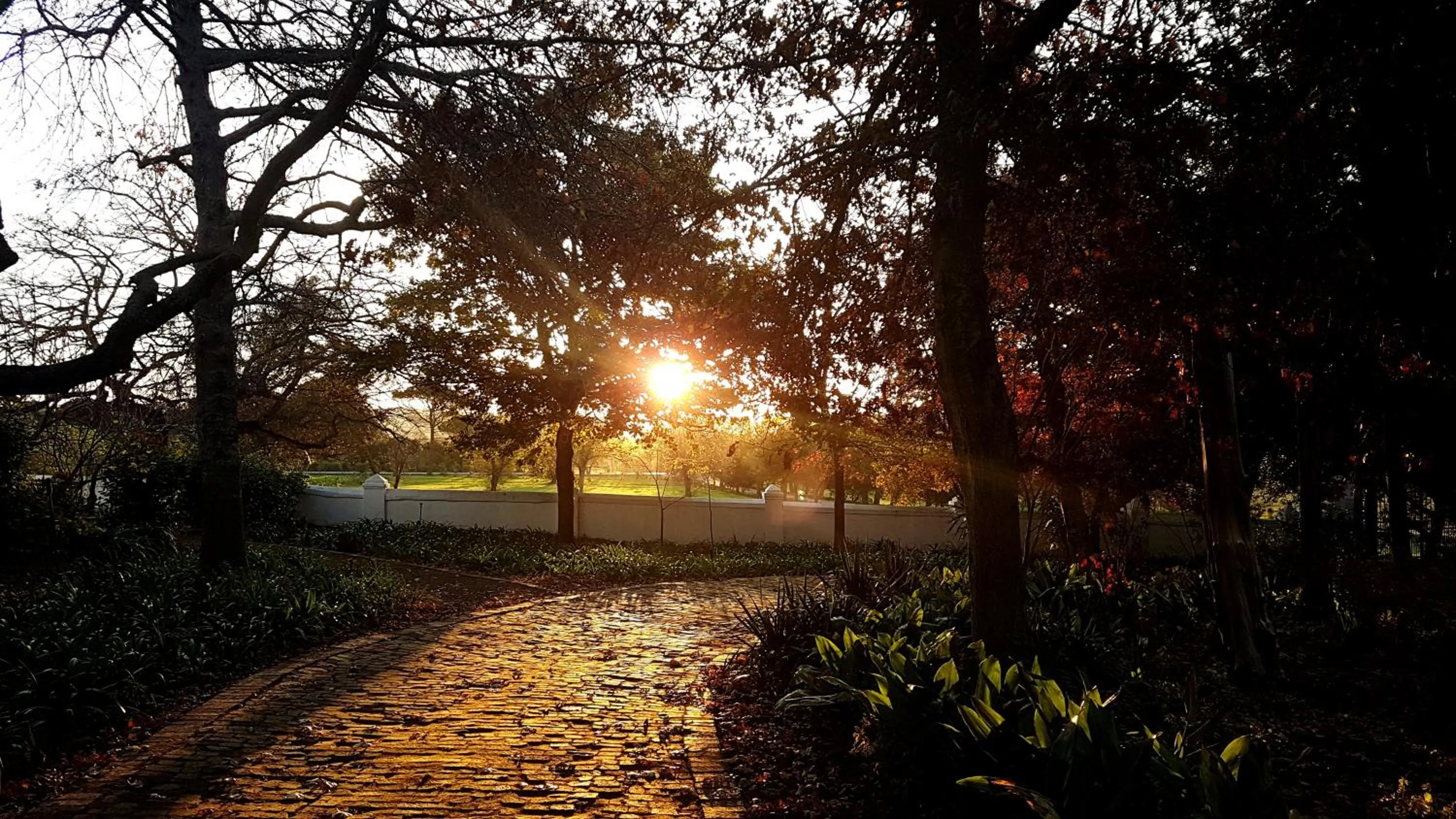 Garden view in Vredenburg Manor House