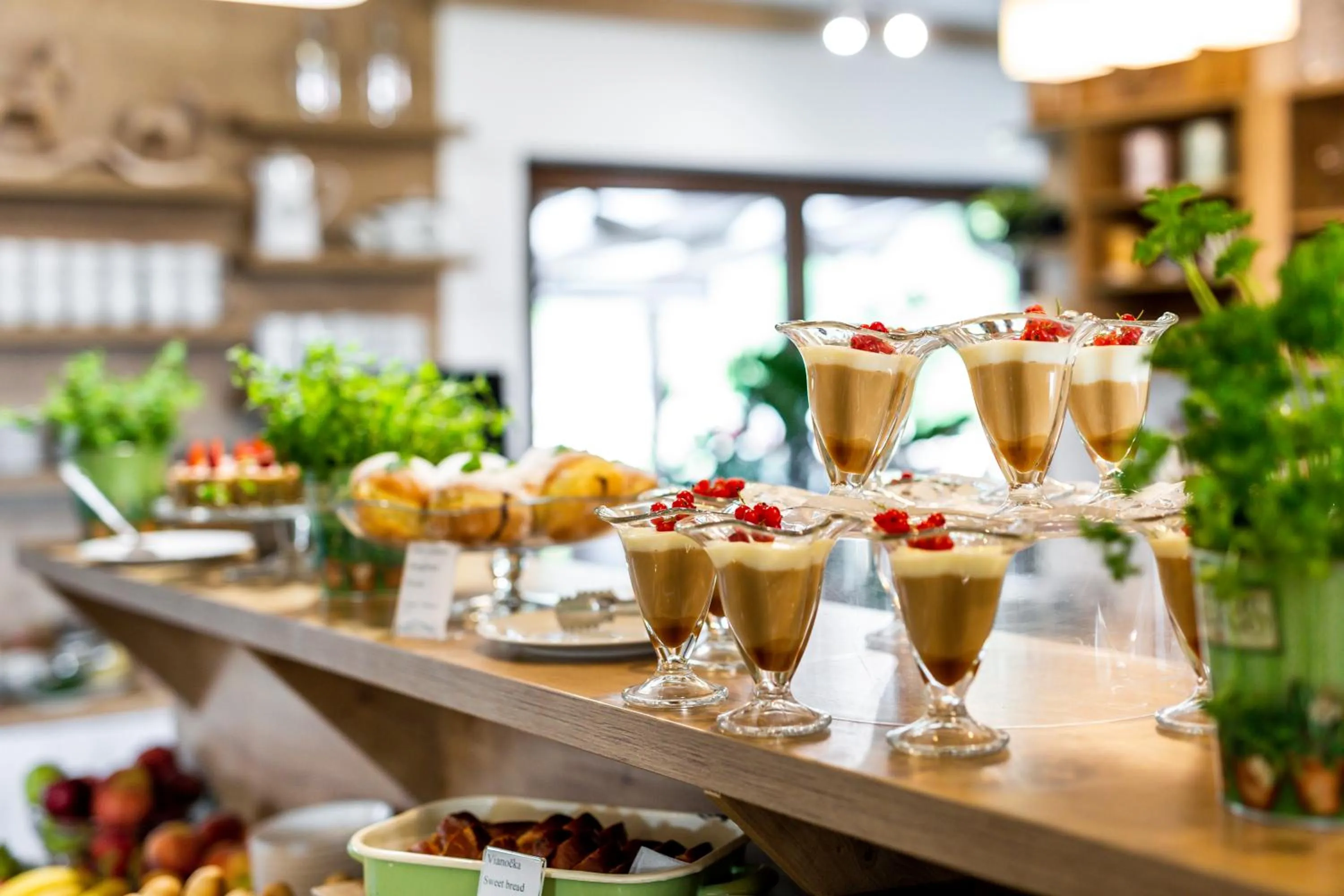 Food and drinks in Hilson Jasna - Garden resort