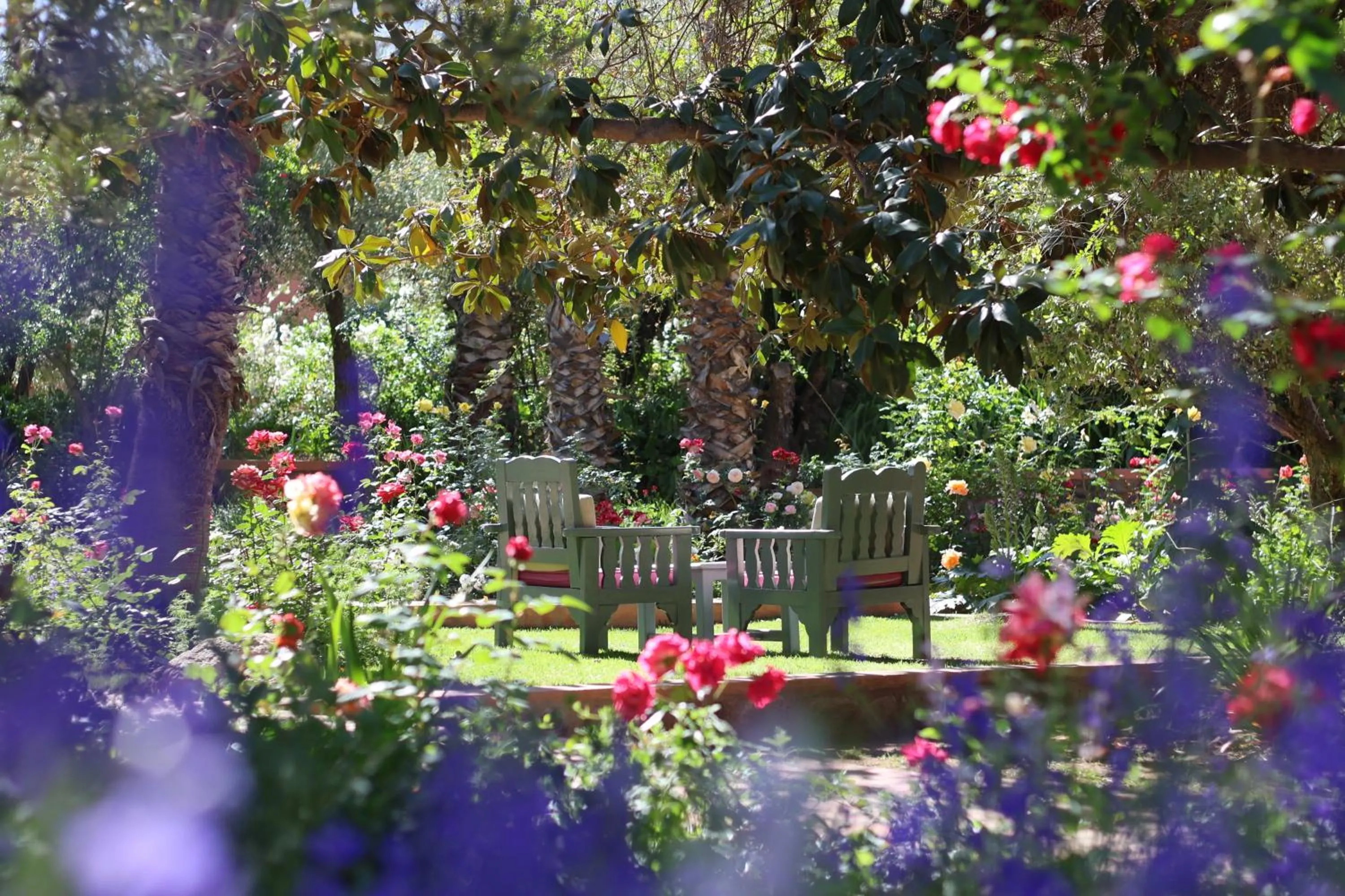 Garden in Domaine de la Roseraie Resort