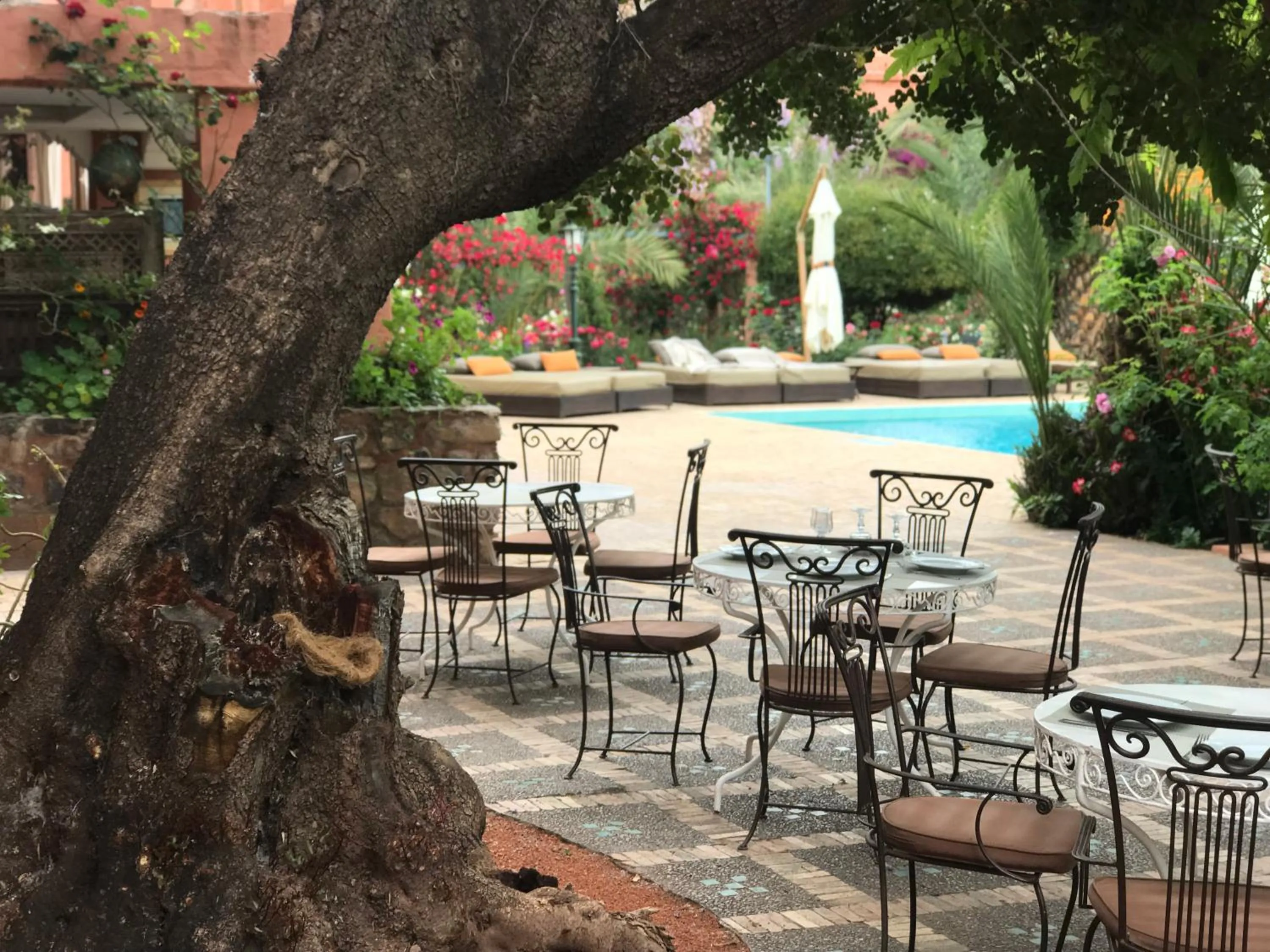 Lunch in Domaine de la Roseraie Resort