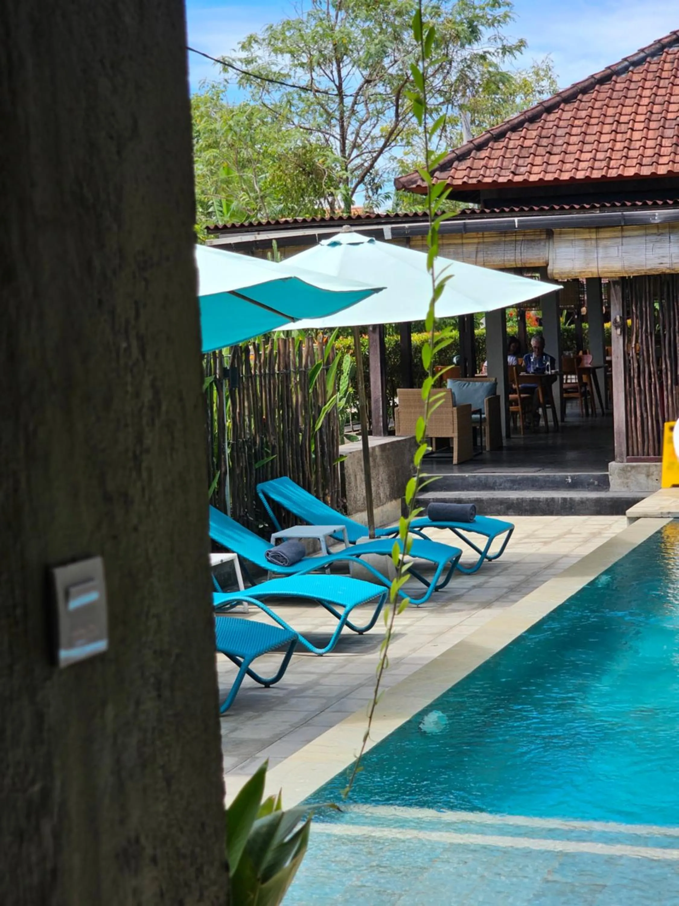 Swimming pool in Wasabi