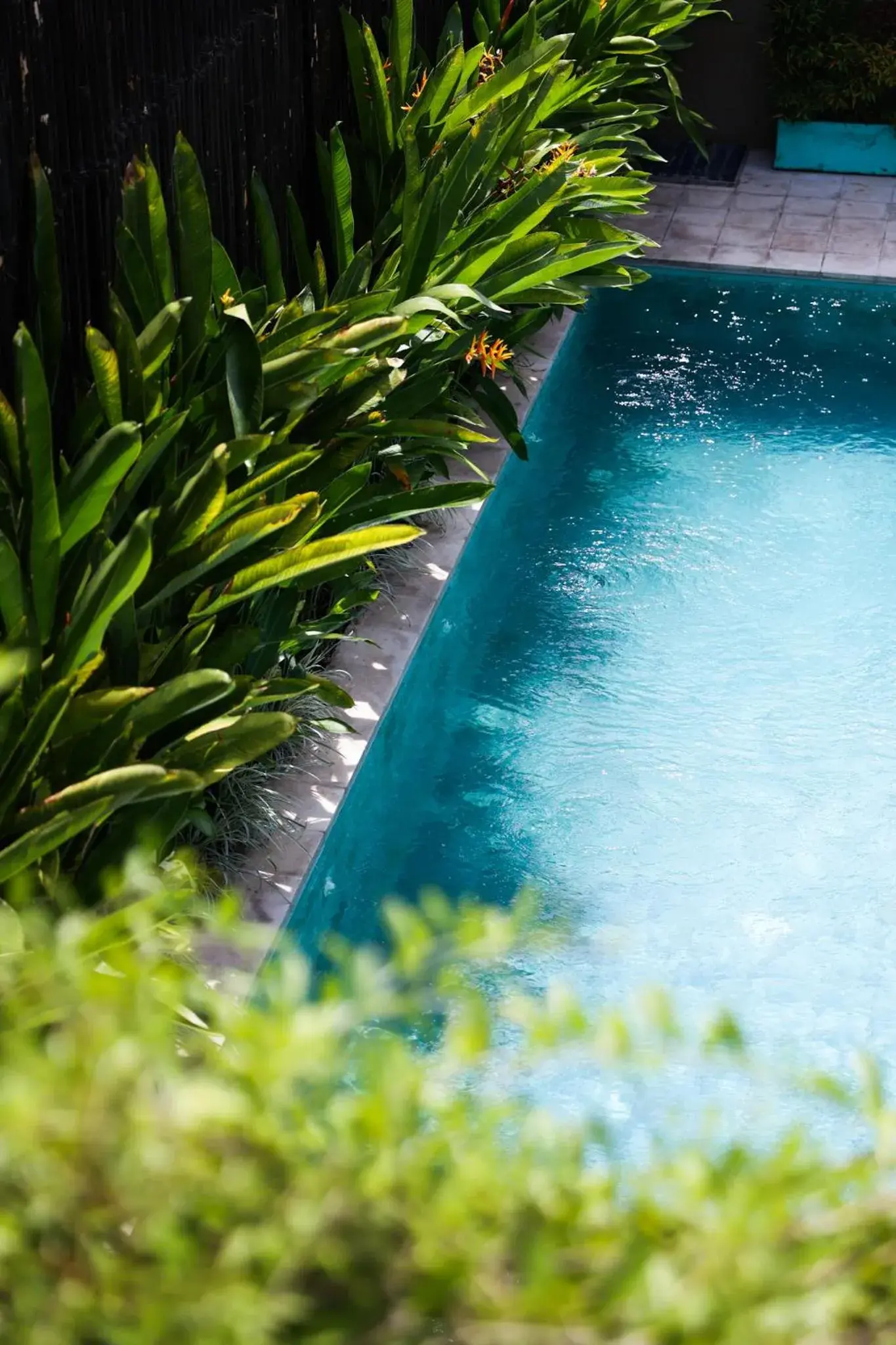 Pool view in Wasabi Pool view in Wasabi