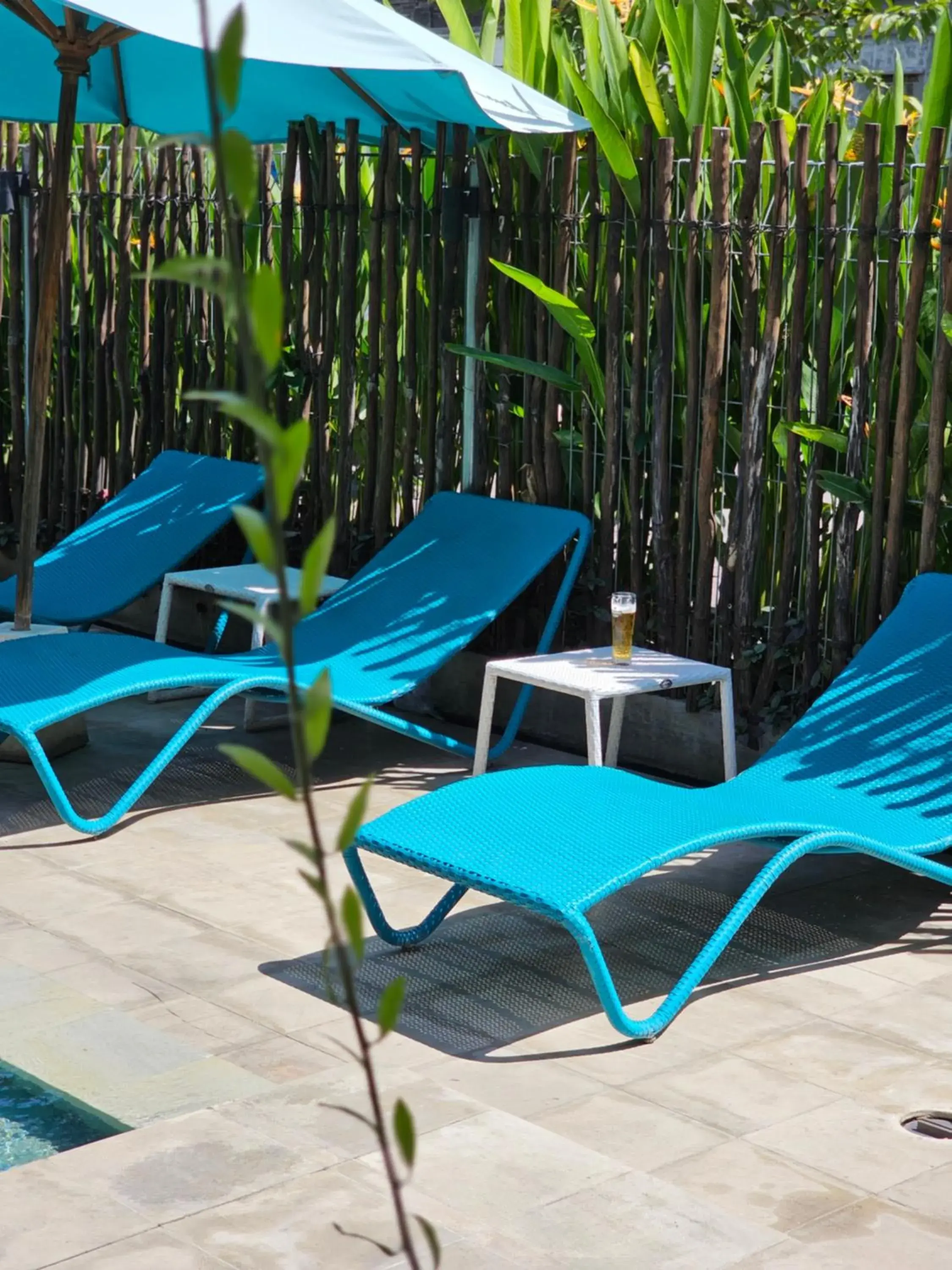 Swimming pool in Wasabi Swimming pool in Wasabi