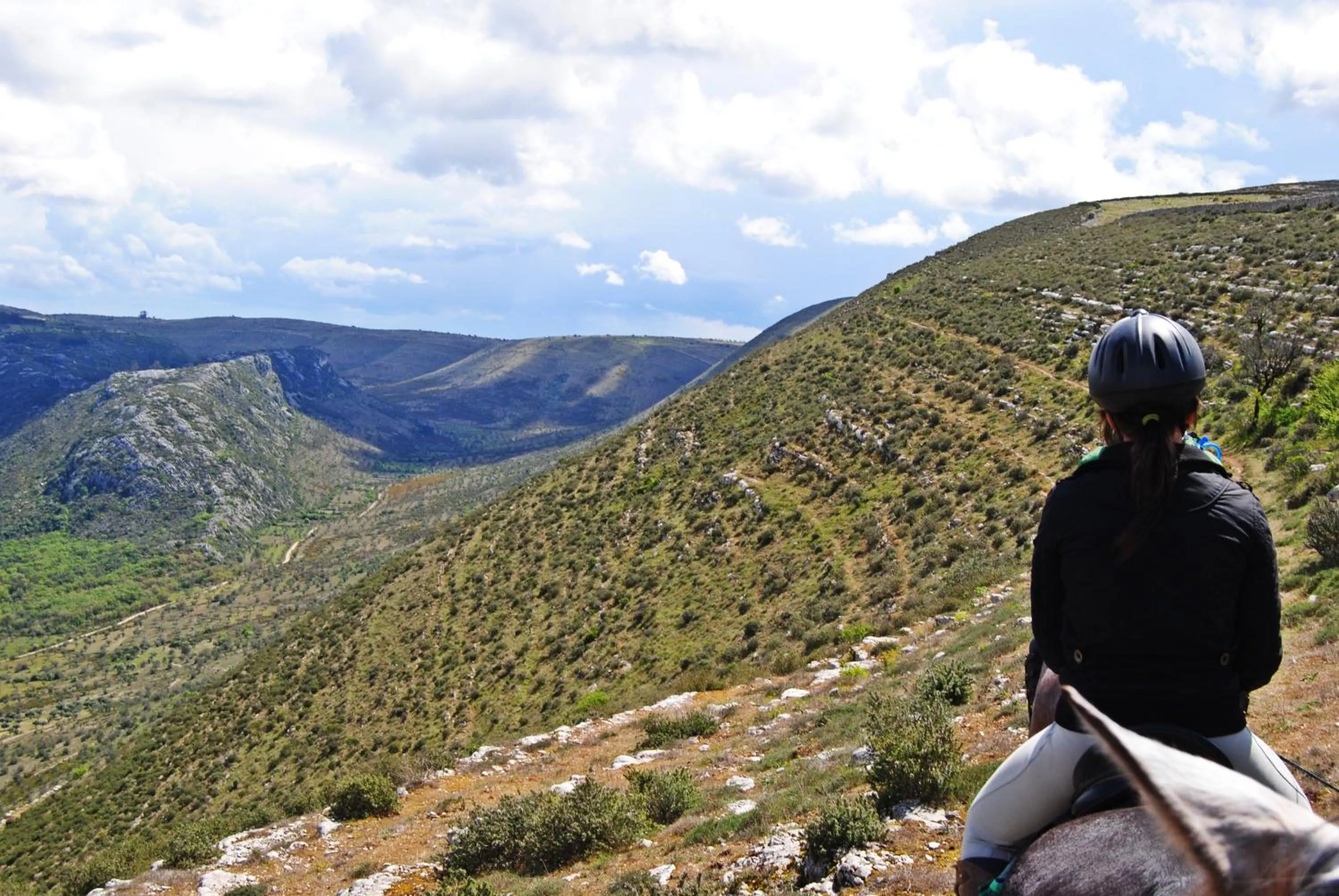 Garden in Cooking and Nature - Emotional Hotel