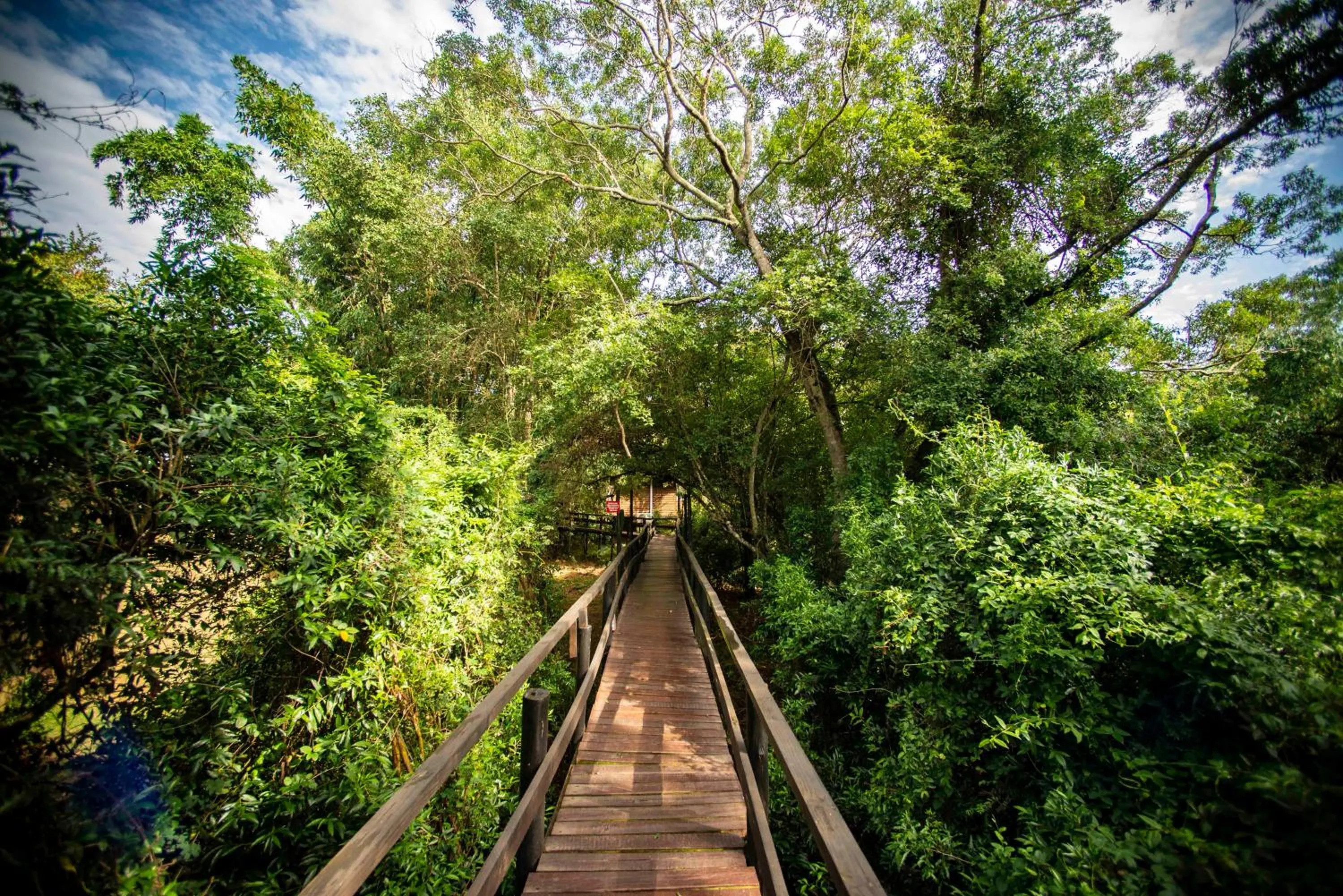 View (from property/room) in Gooderson Bushlands Game Lodge